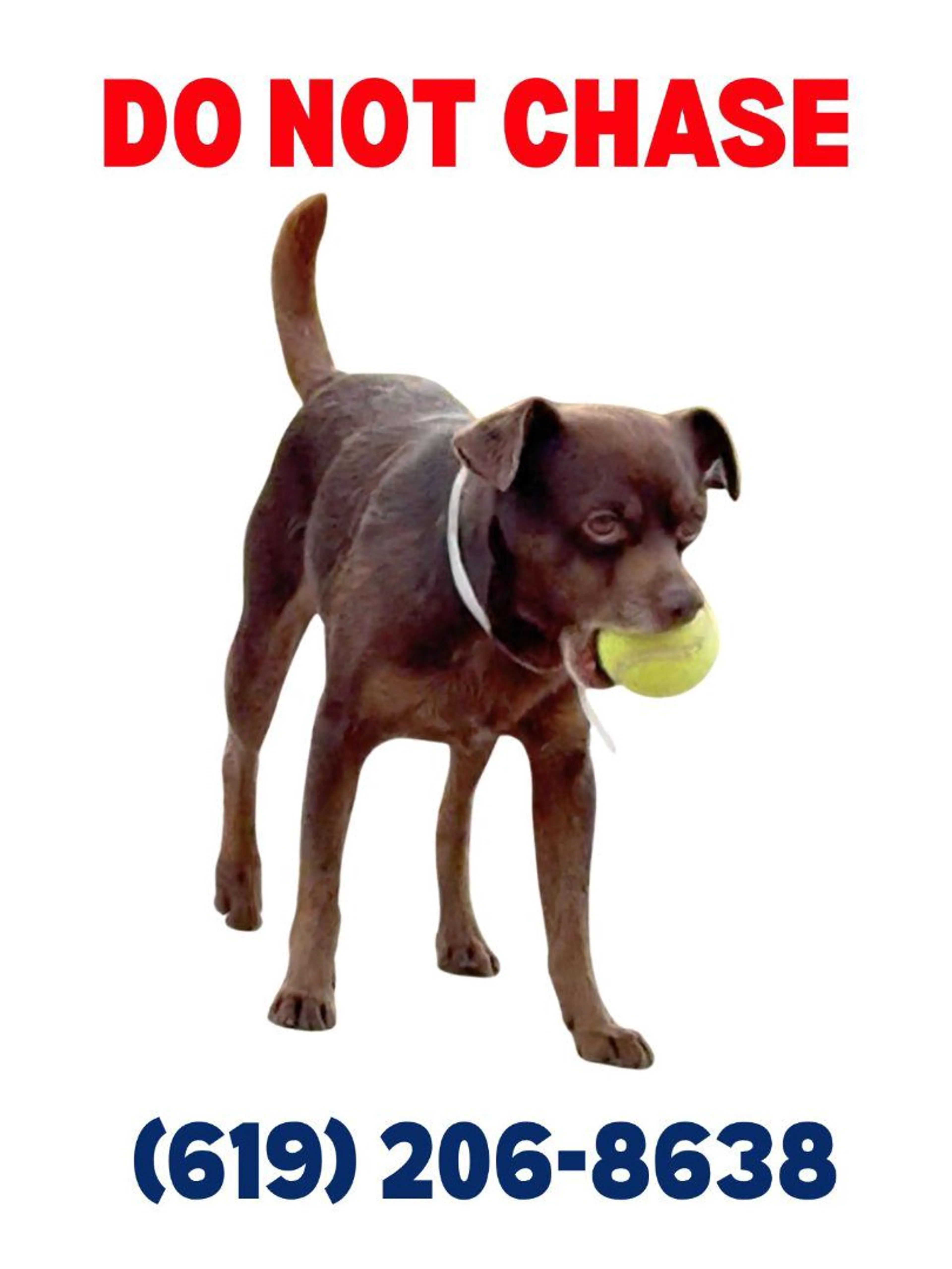 cdn image