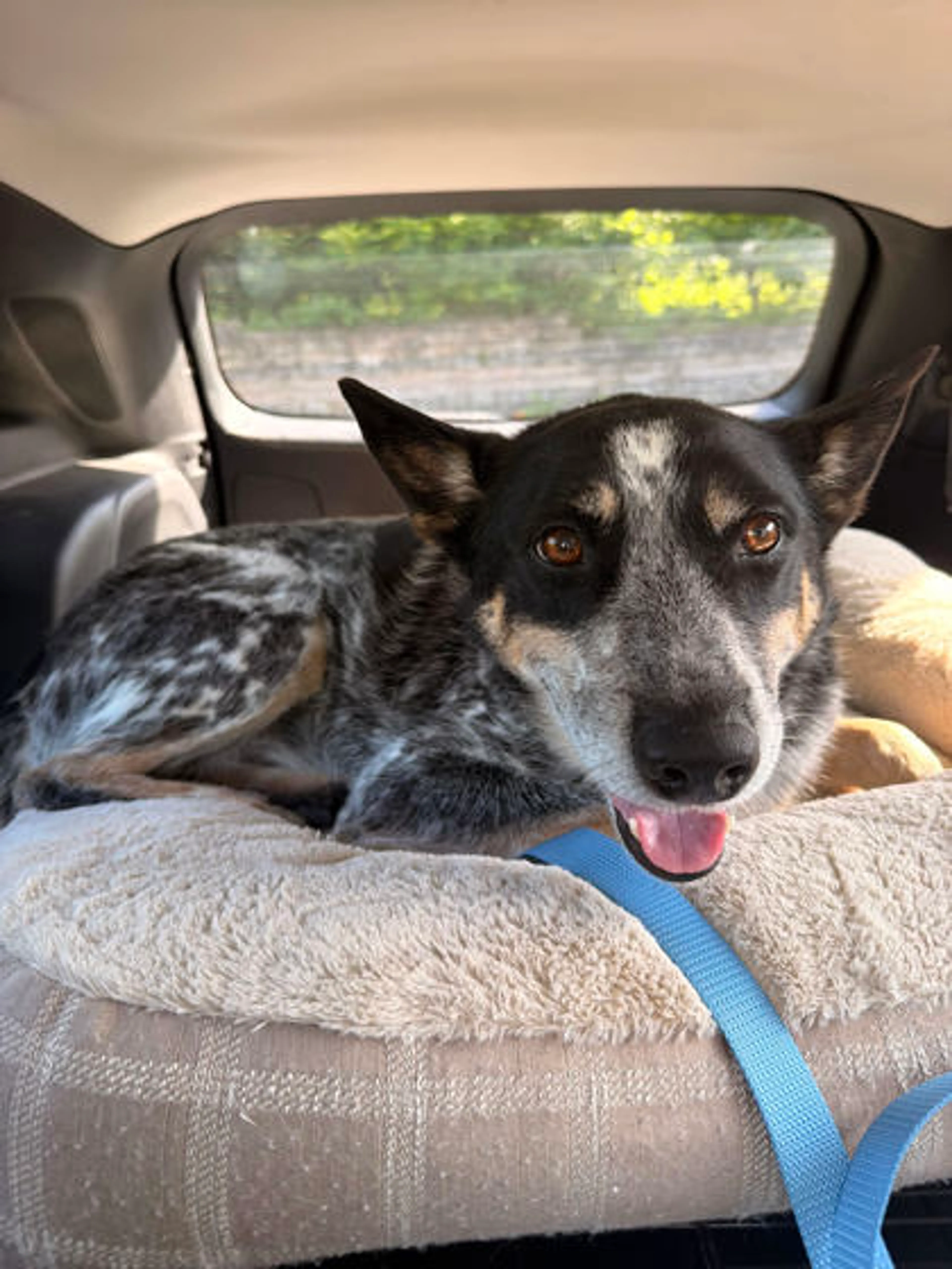 -1