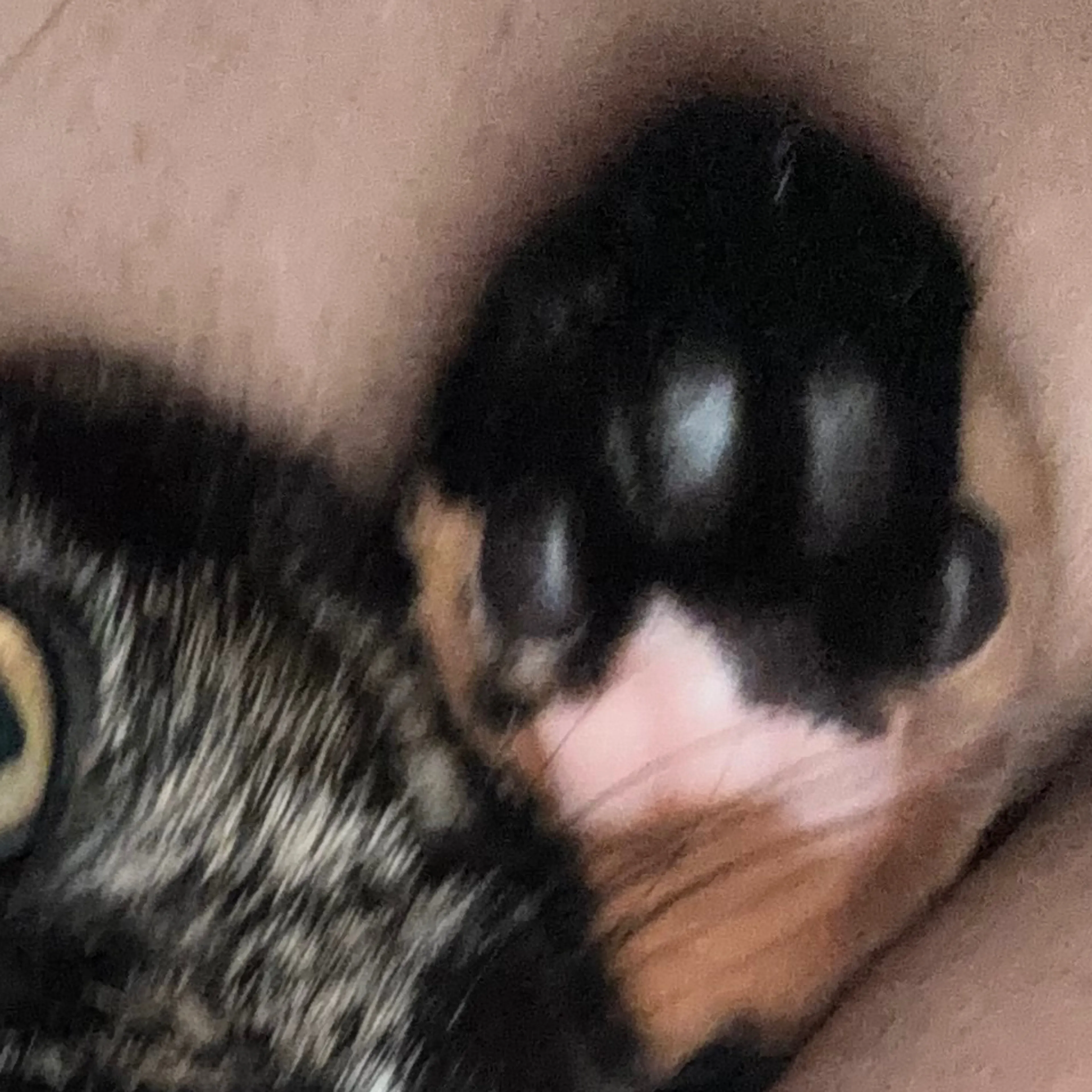 -3