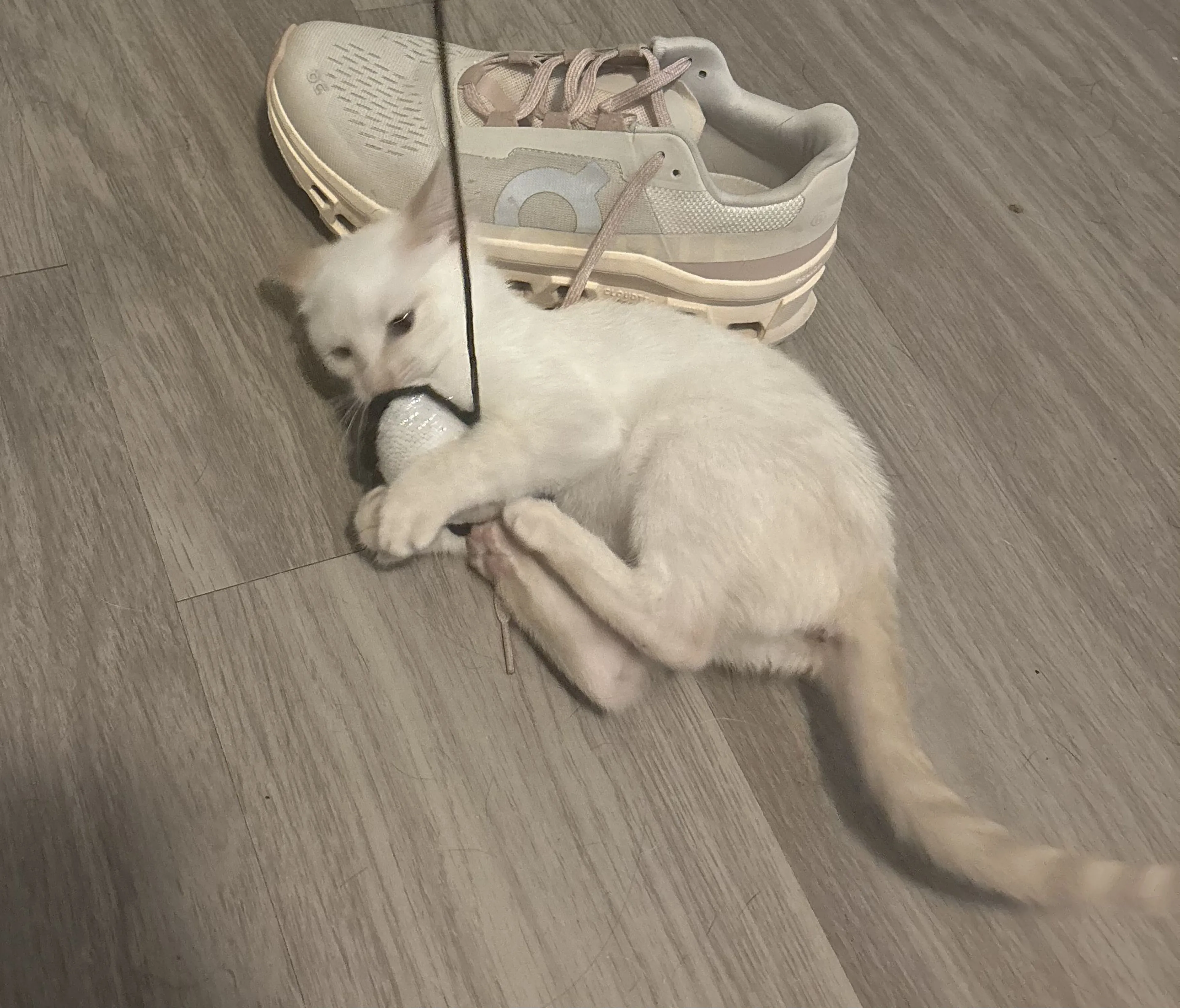 -1