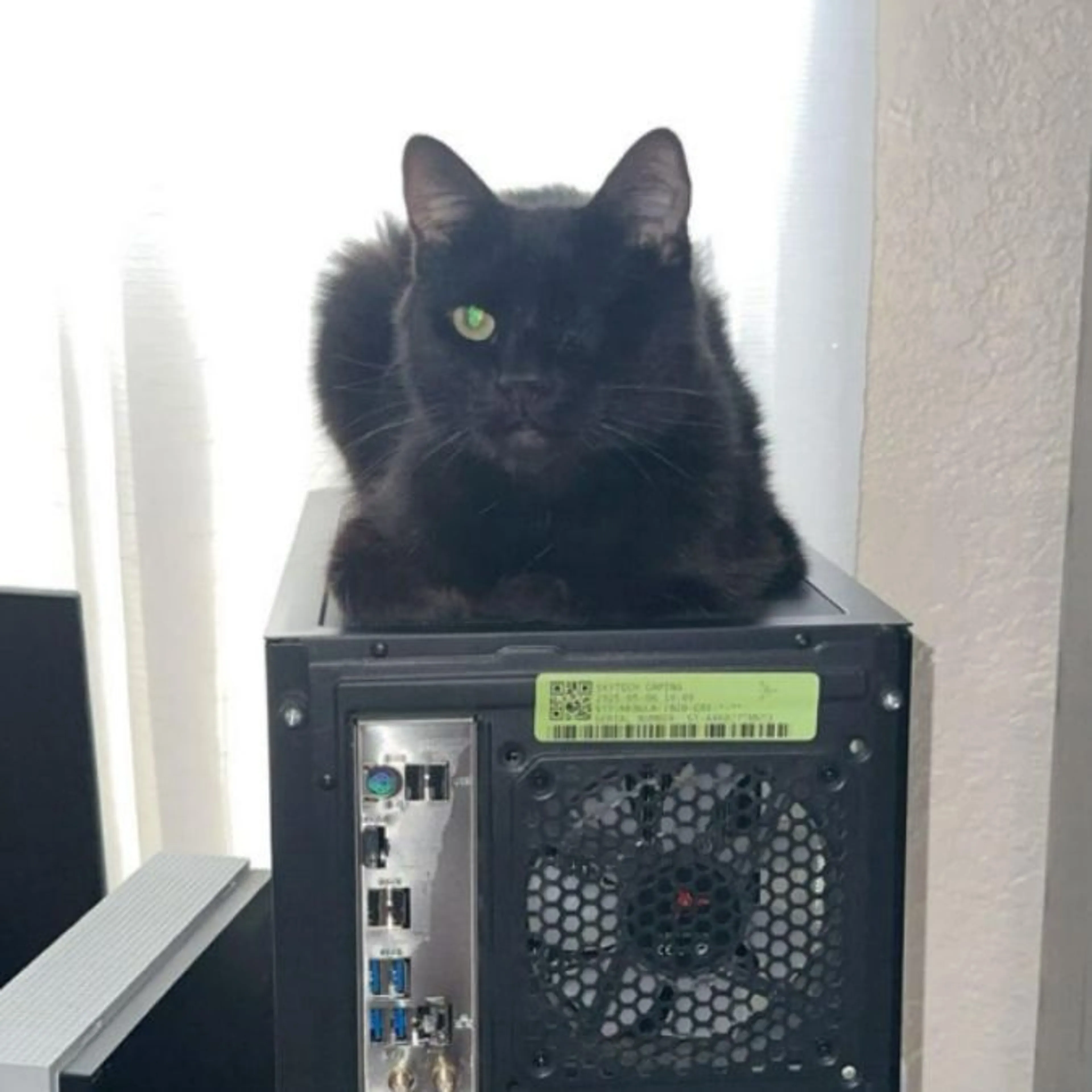 cdn image