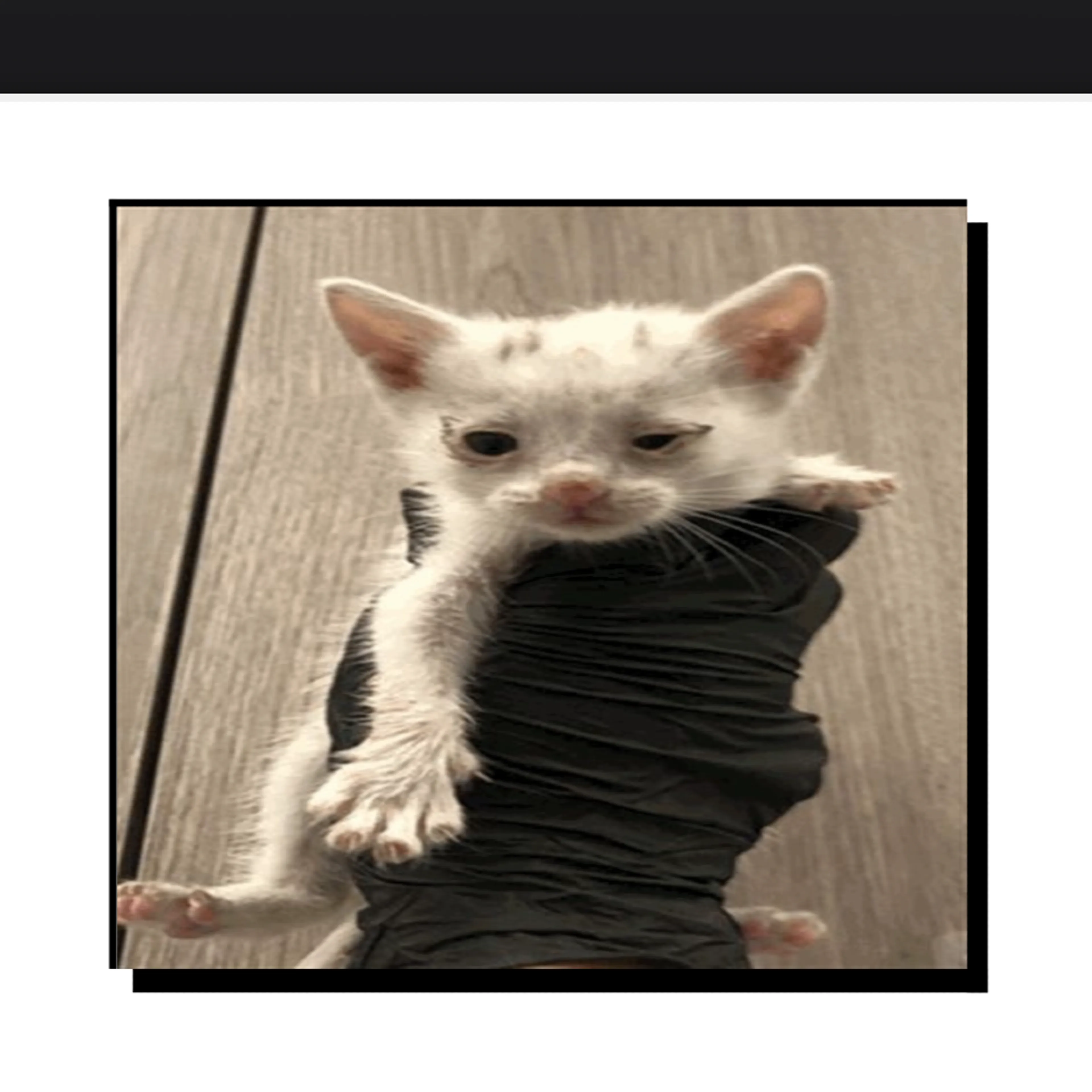 cdn image