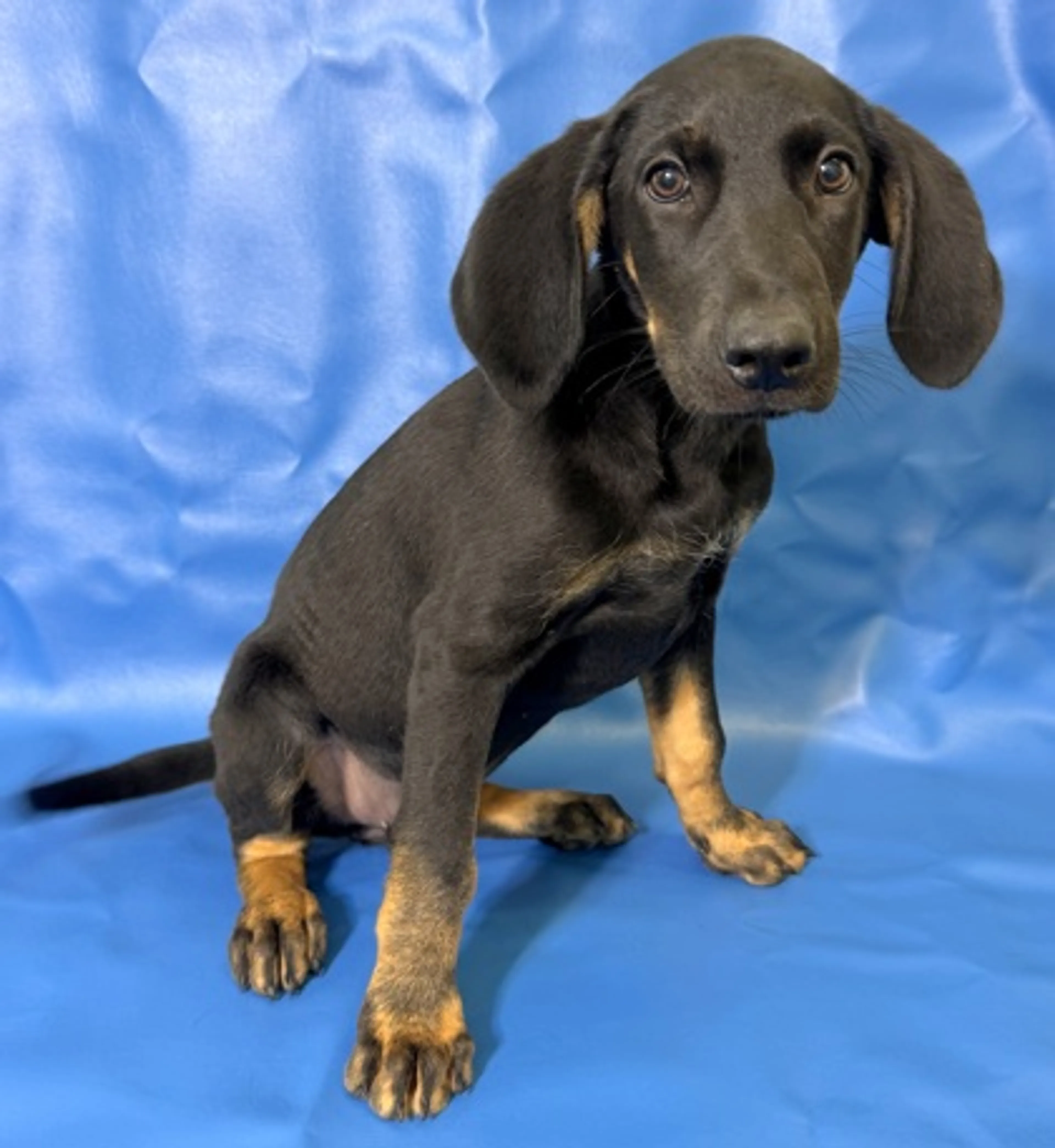 -2