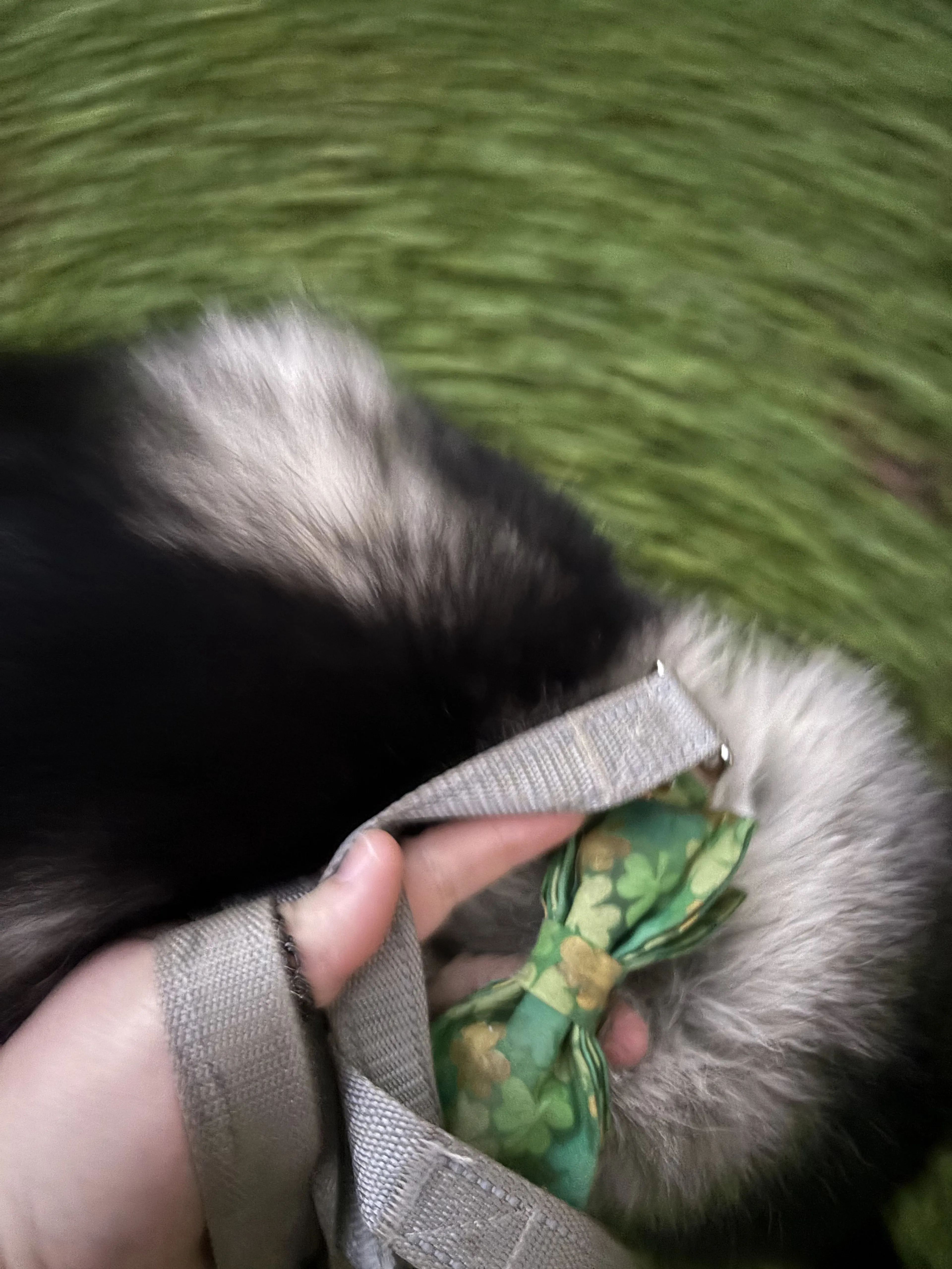-3