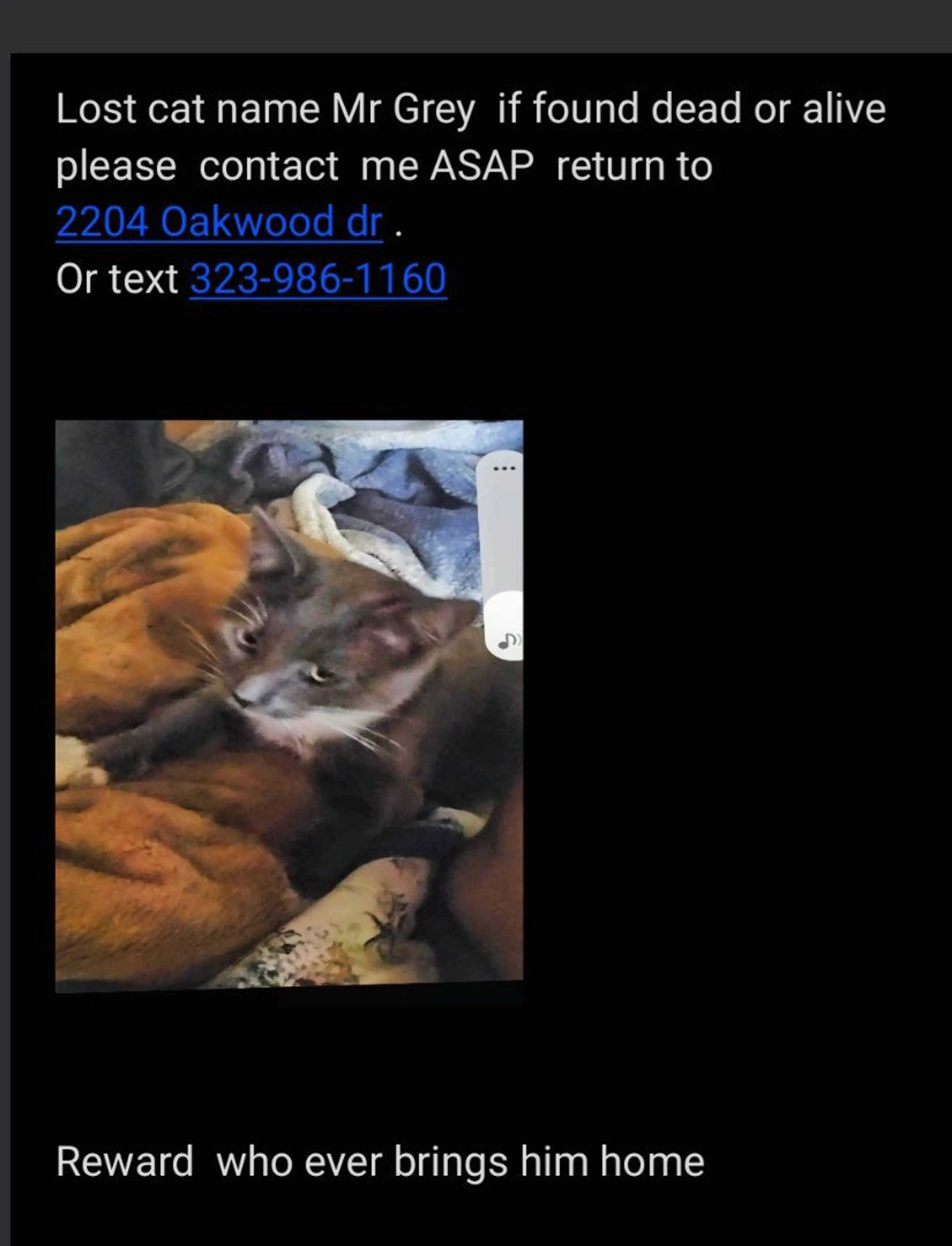 cdn image