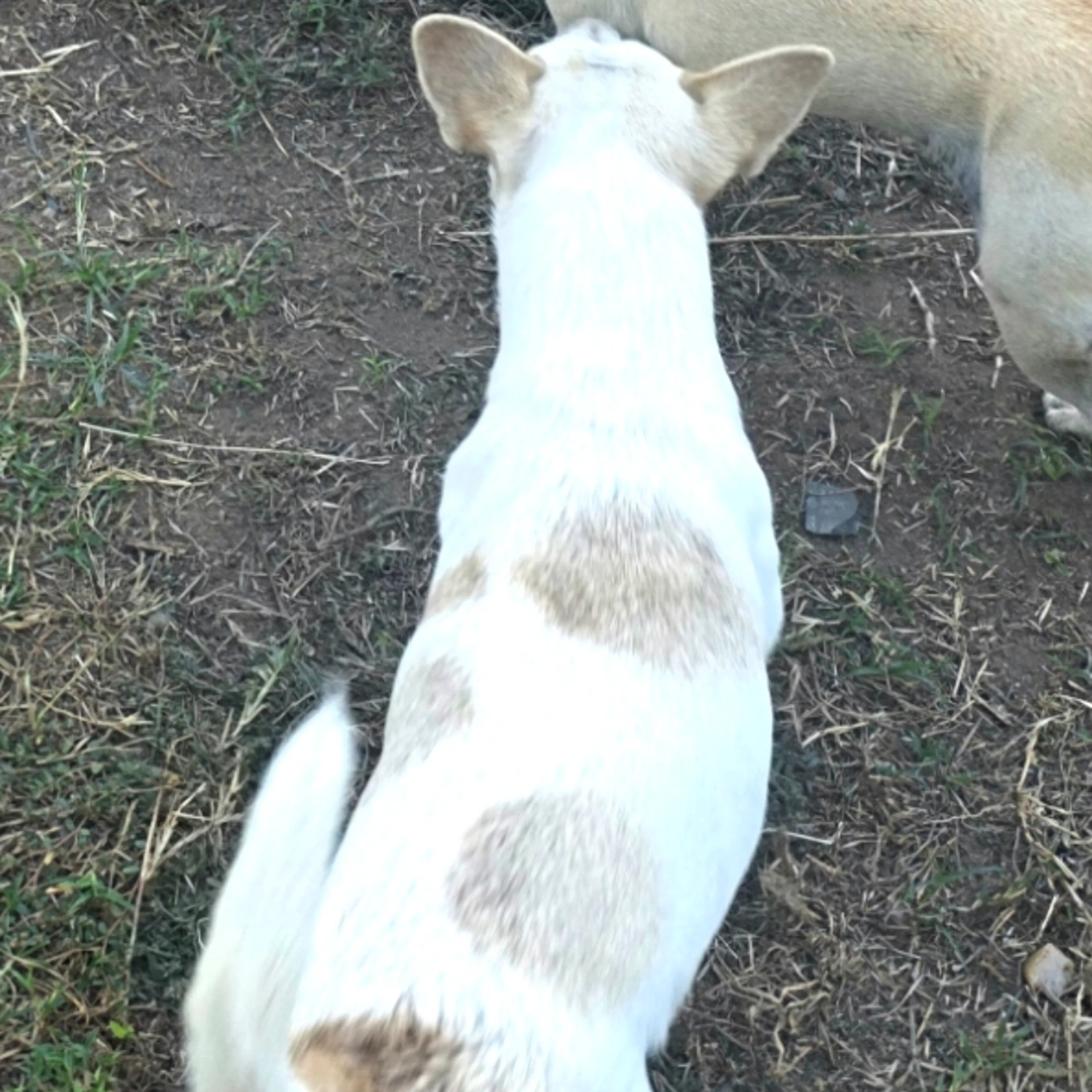 -3