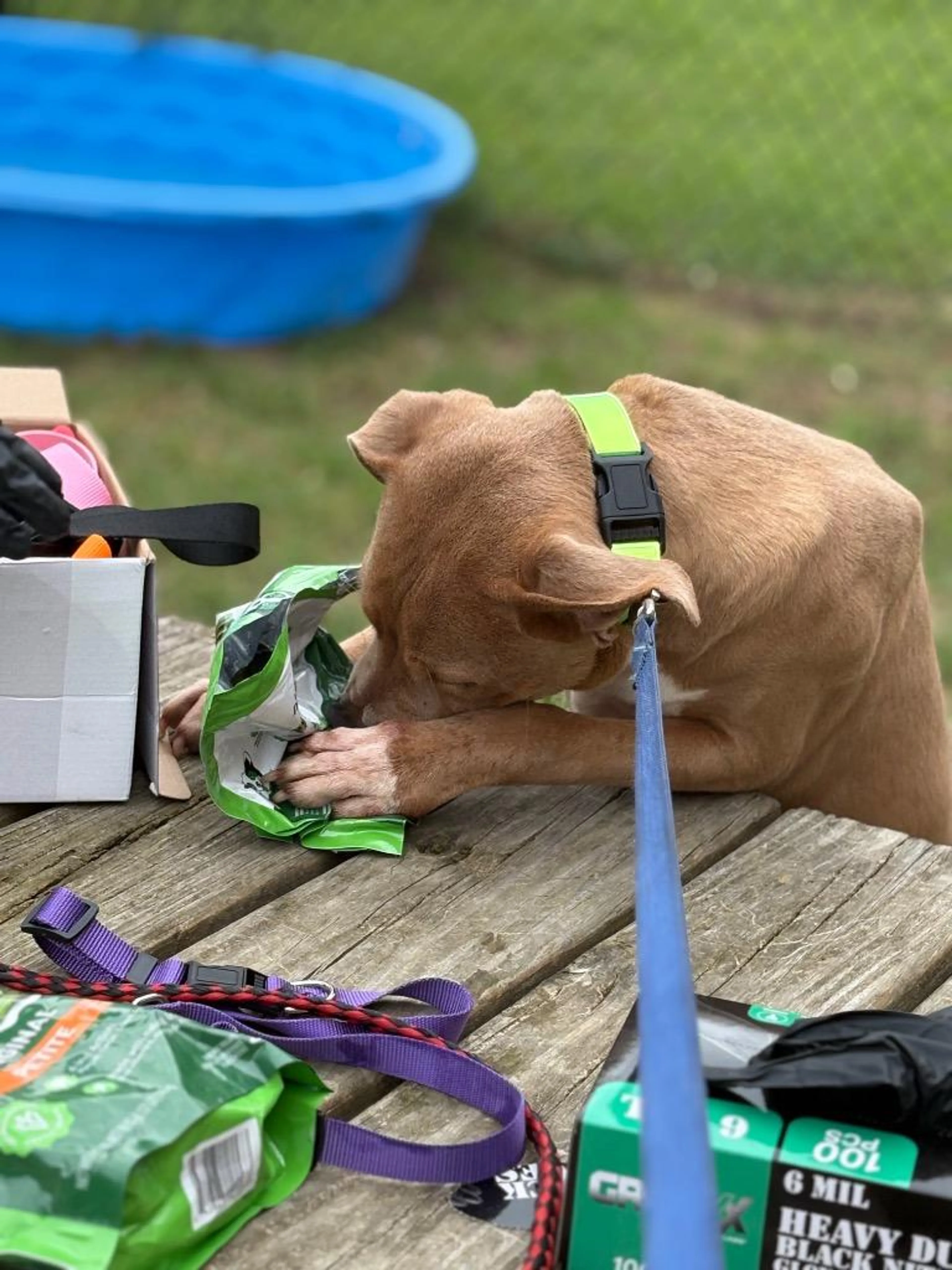 cdn image