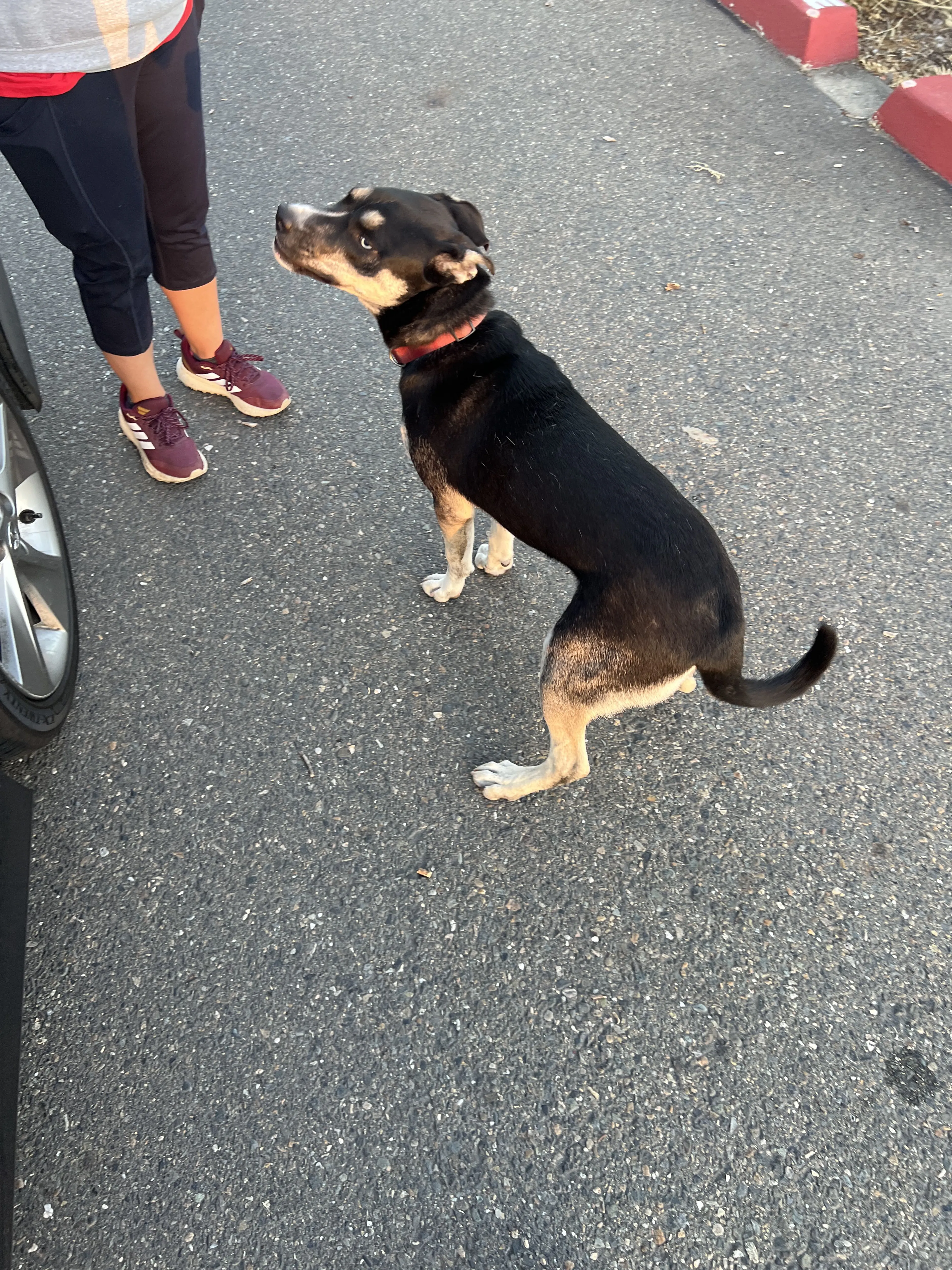 -2