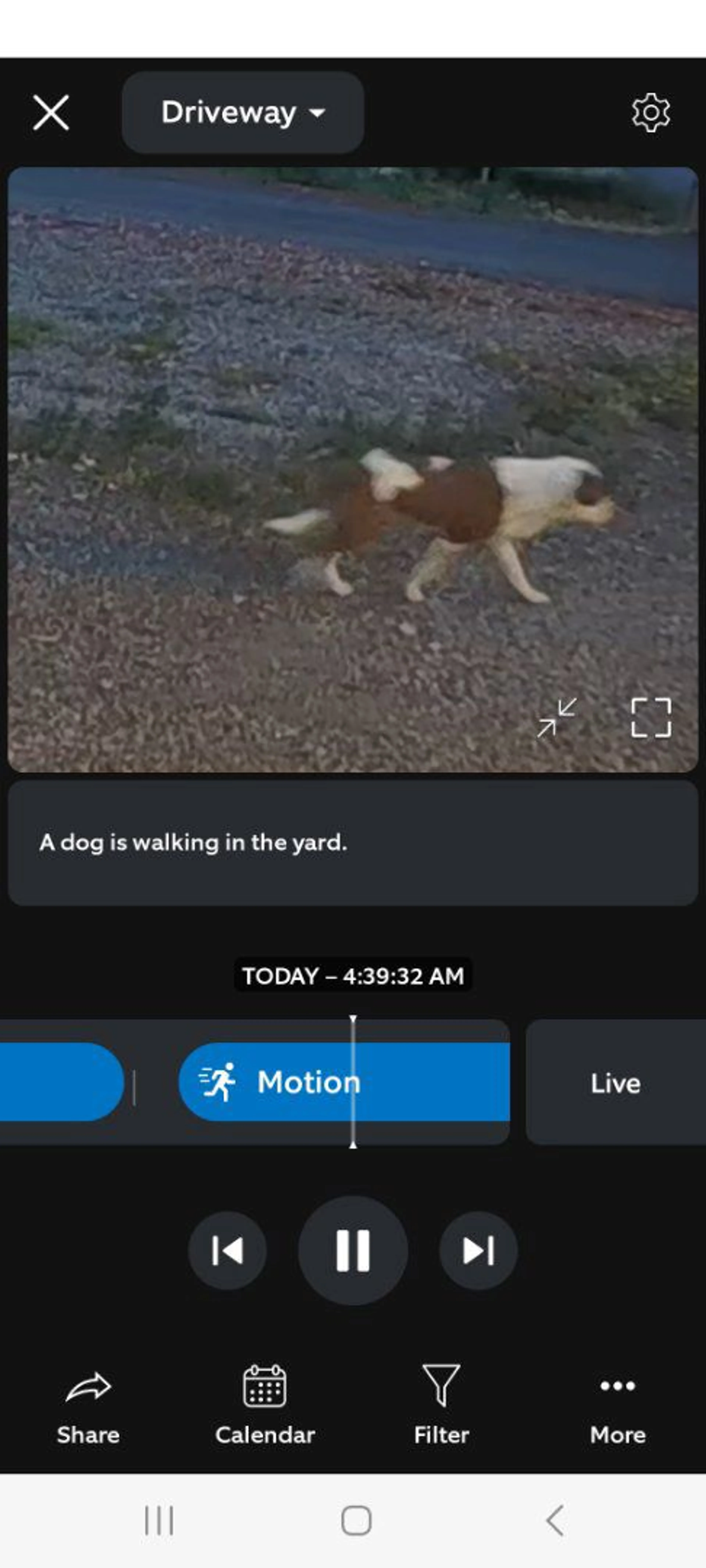 cdn image