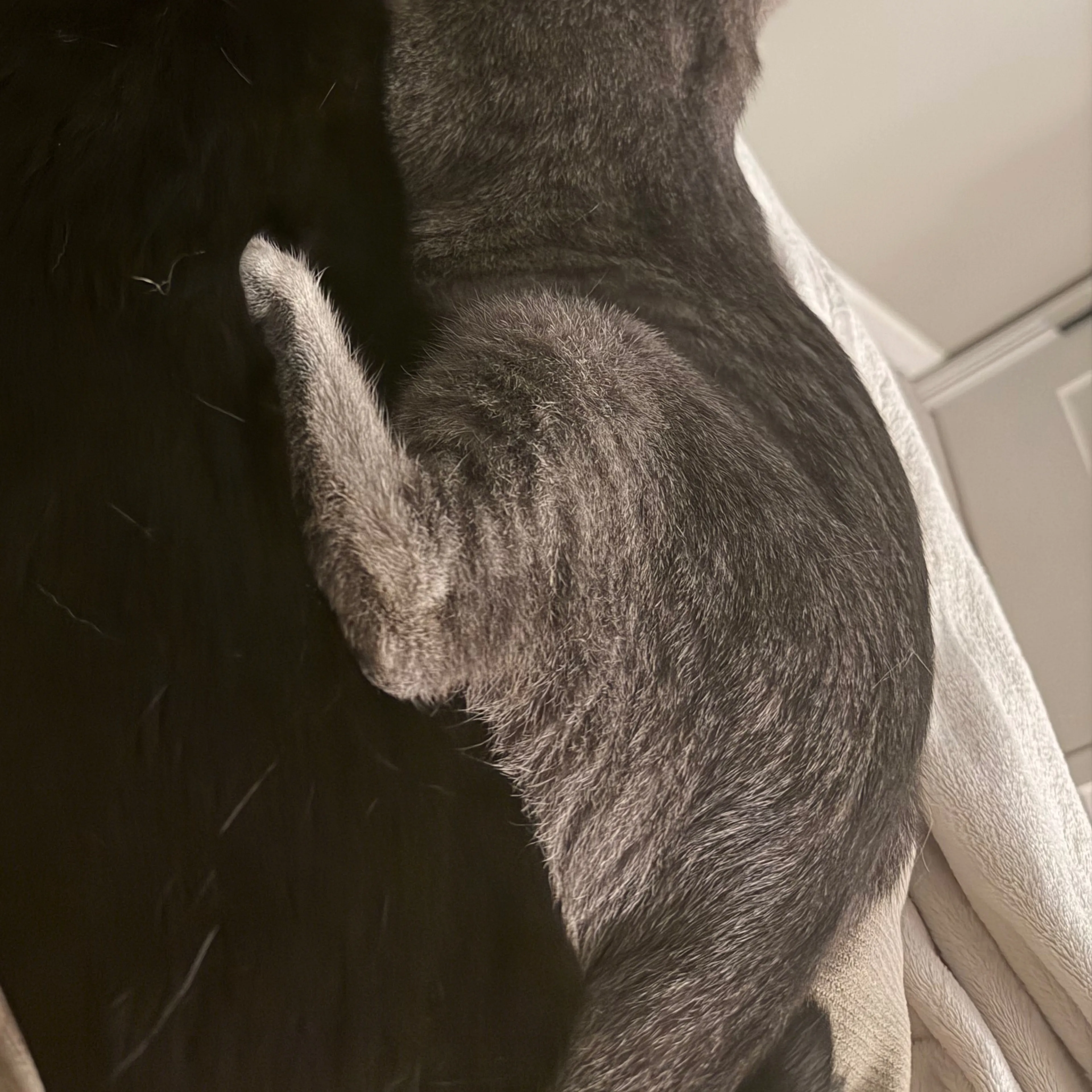 -3