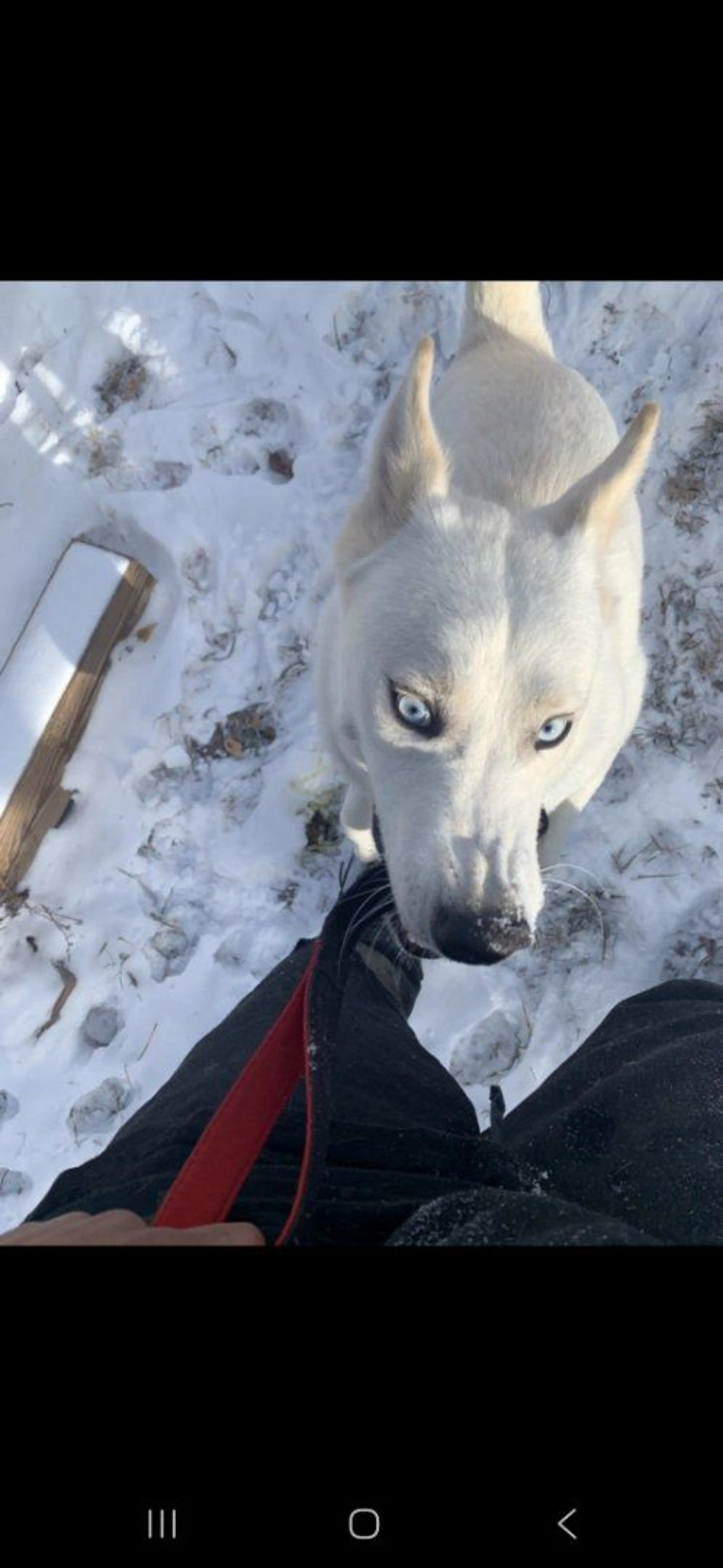 -1