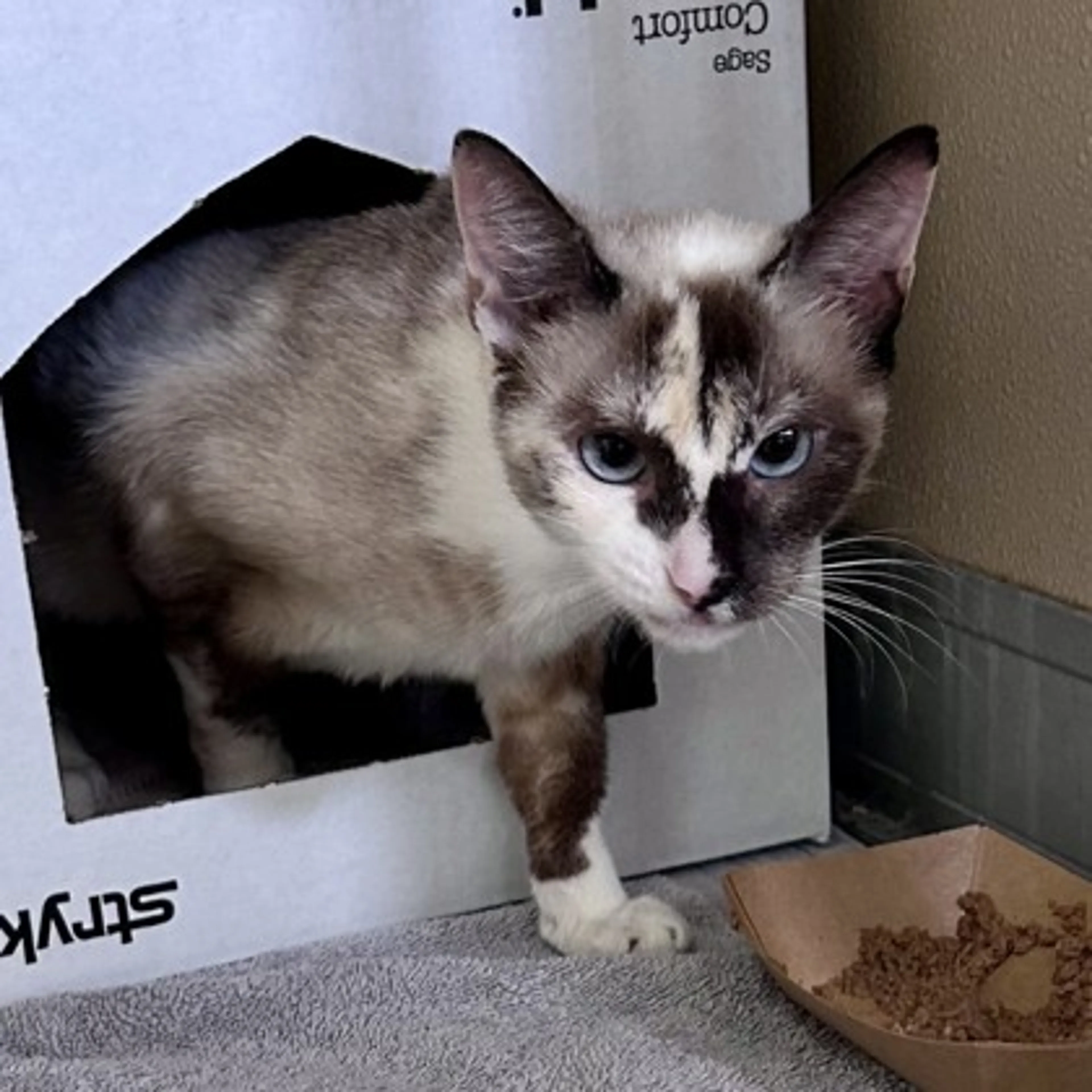 -1