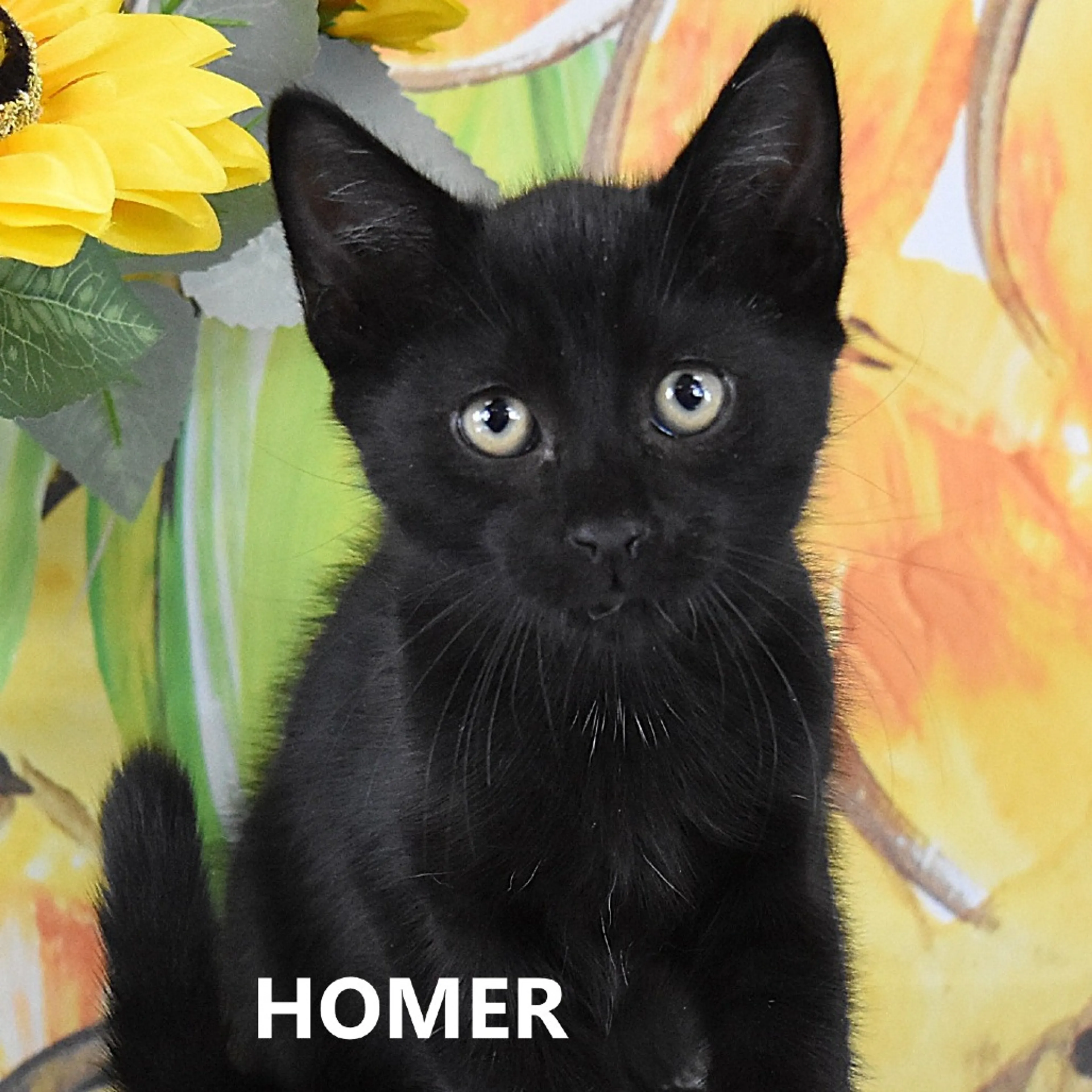 -1