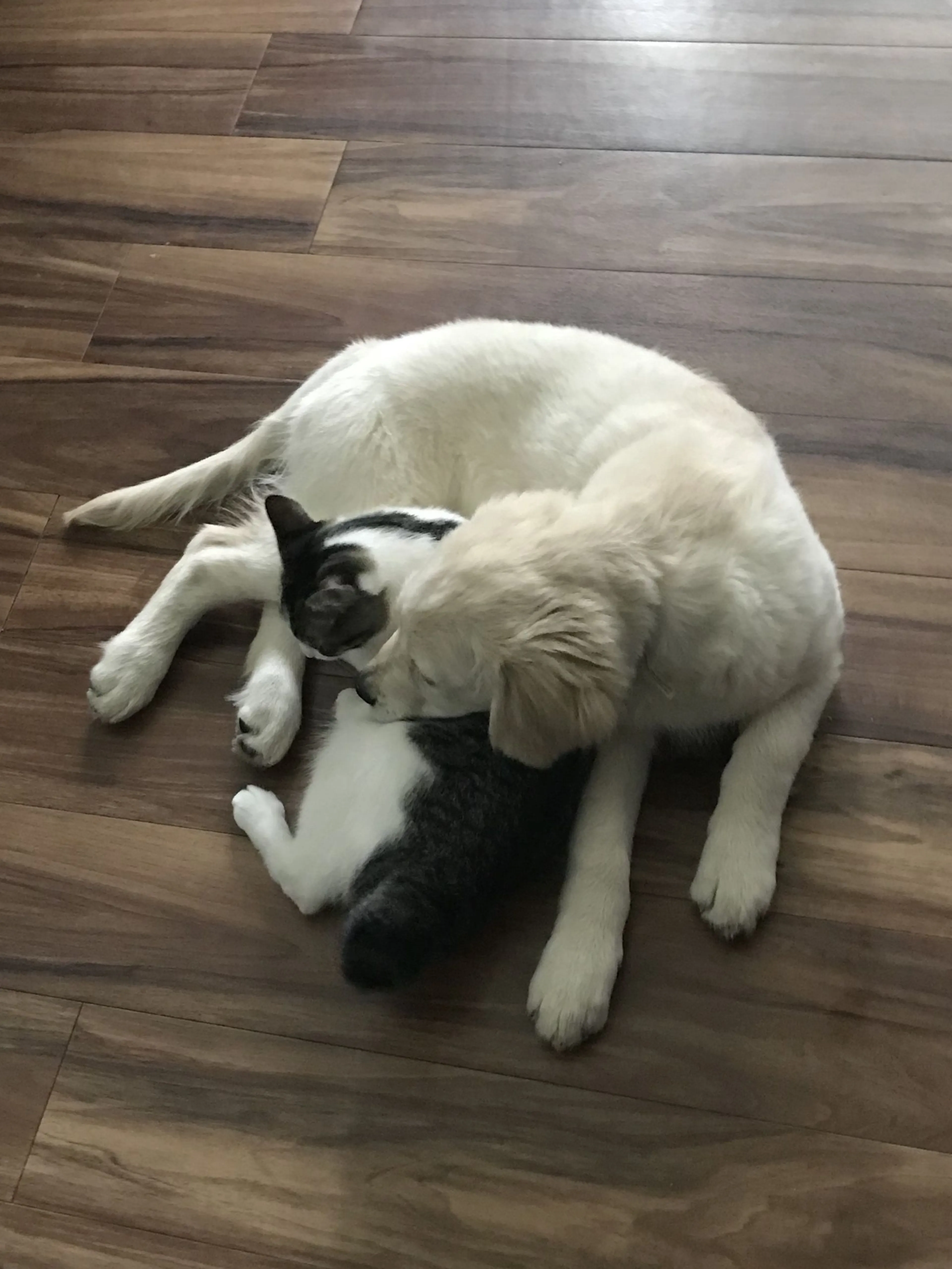 -3