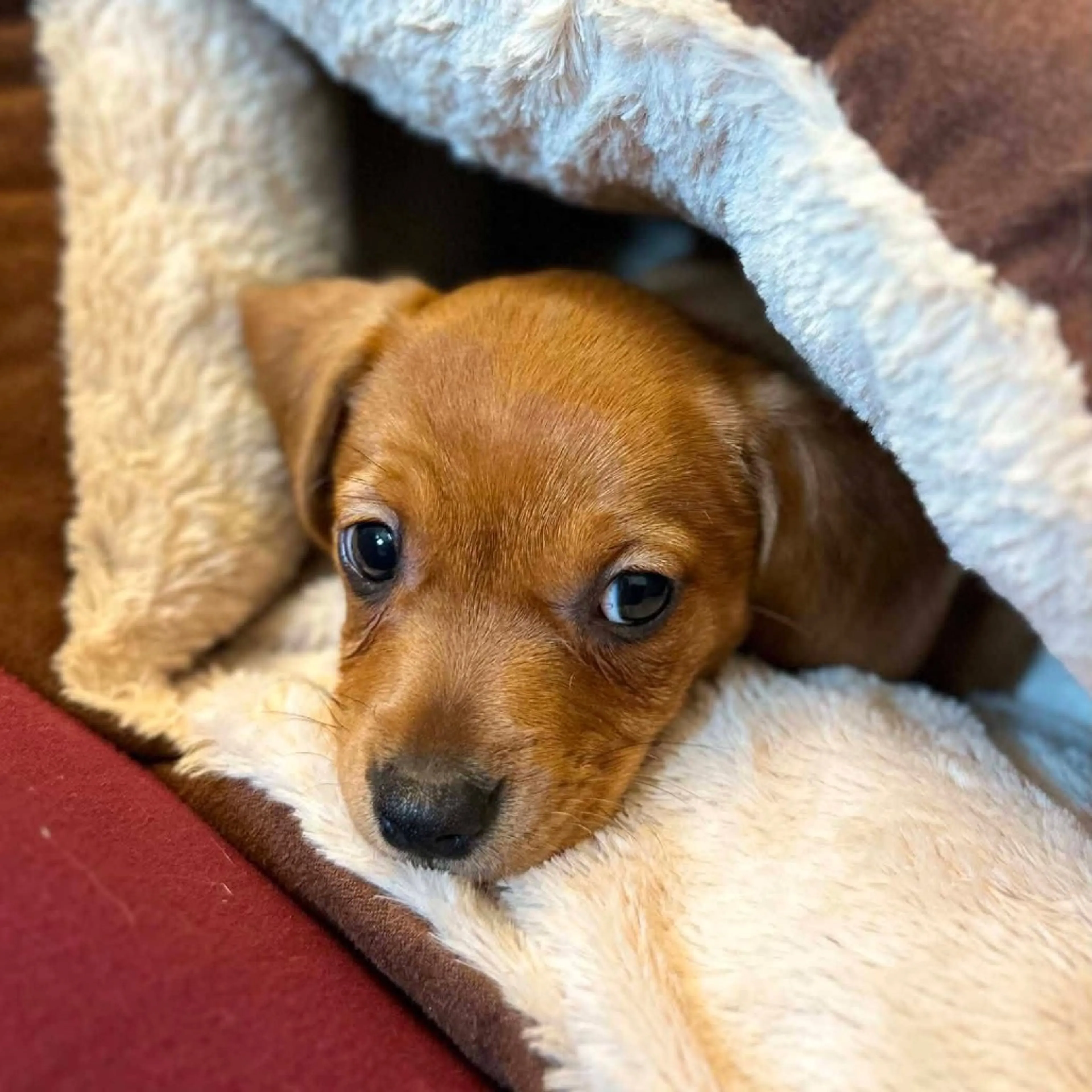 -17