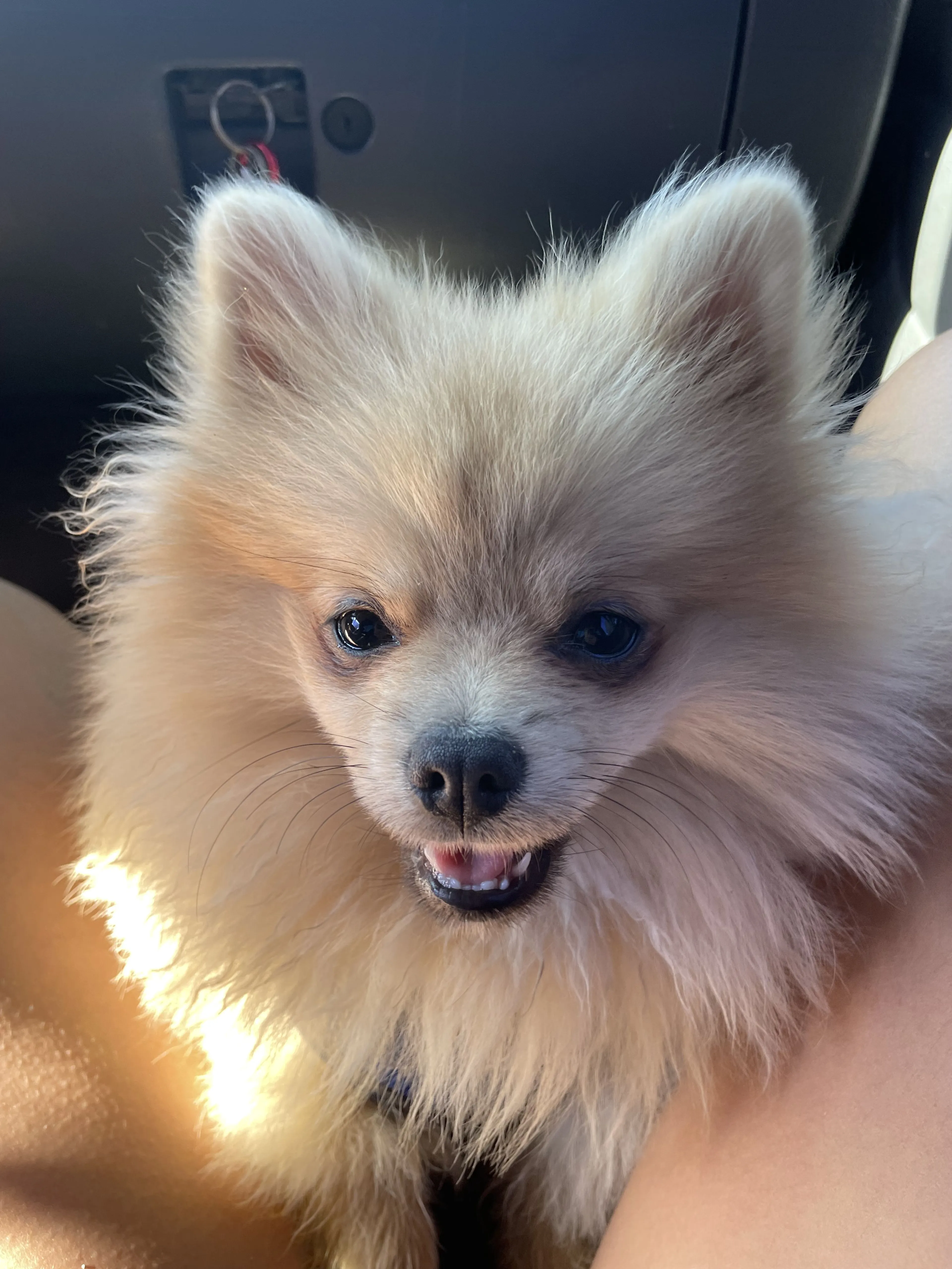 -3