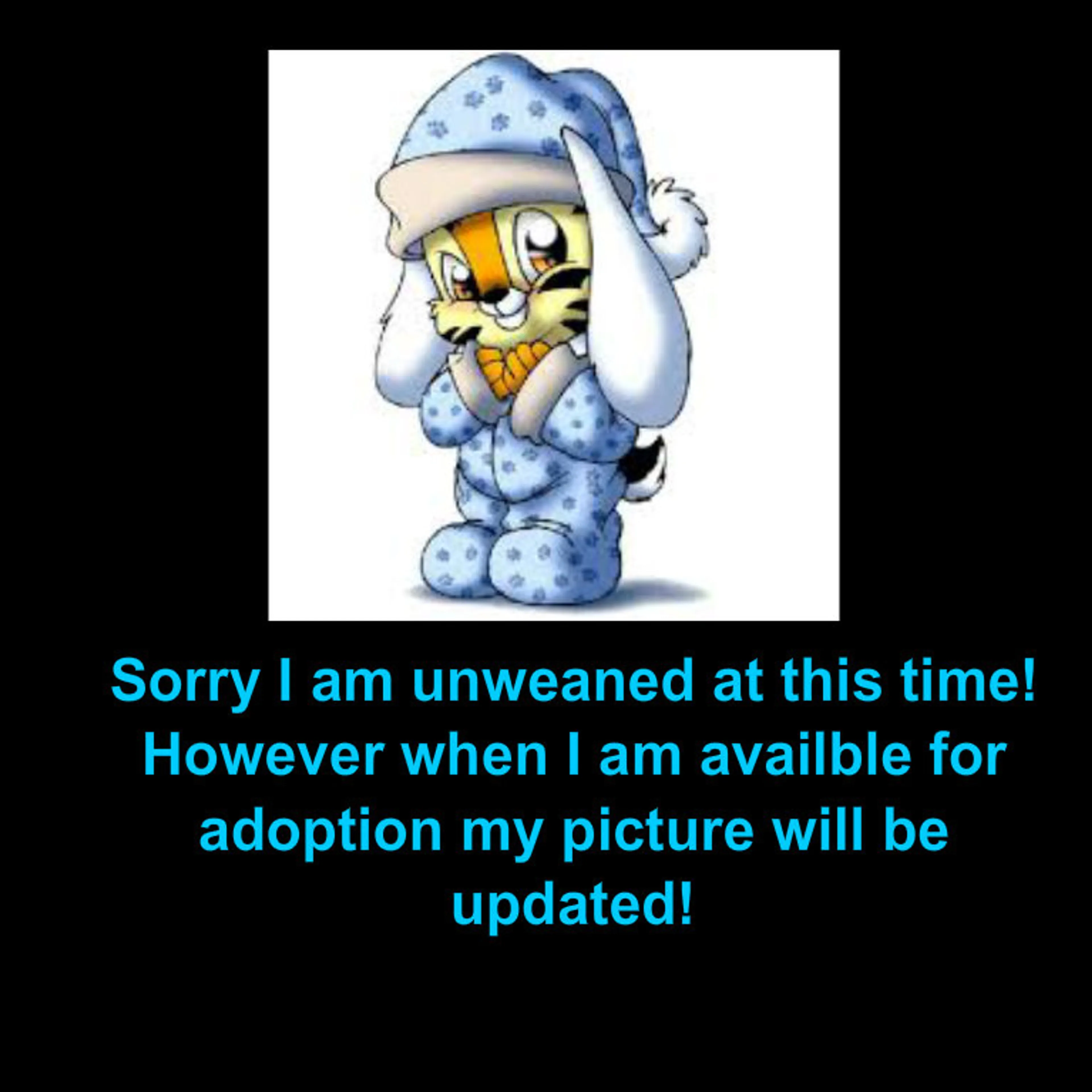 cdn image