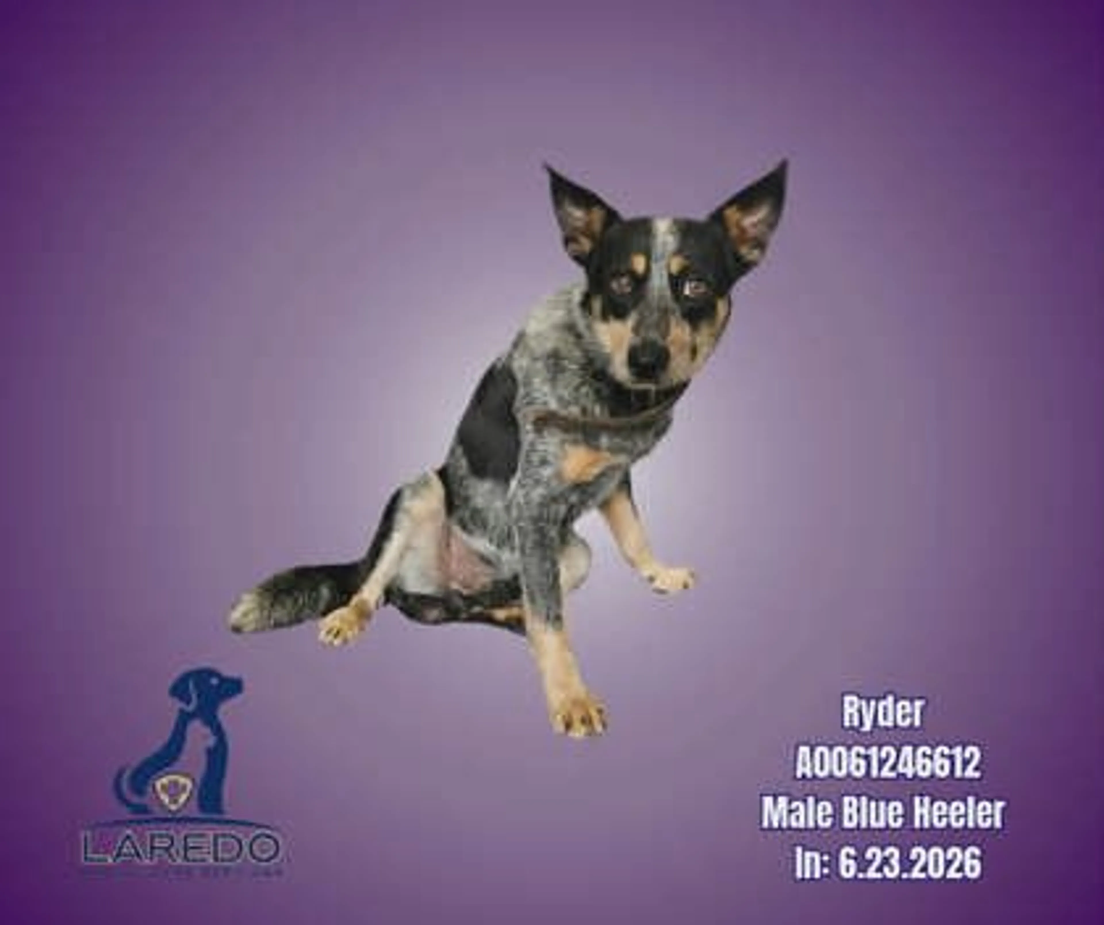 -0