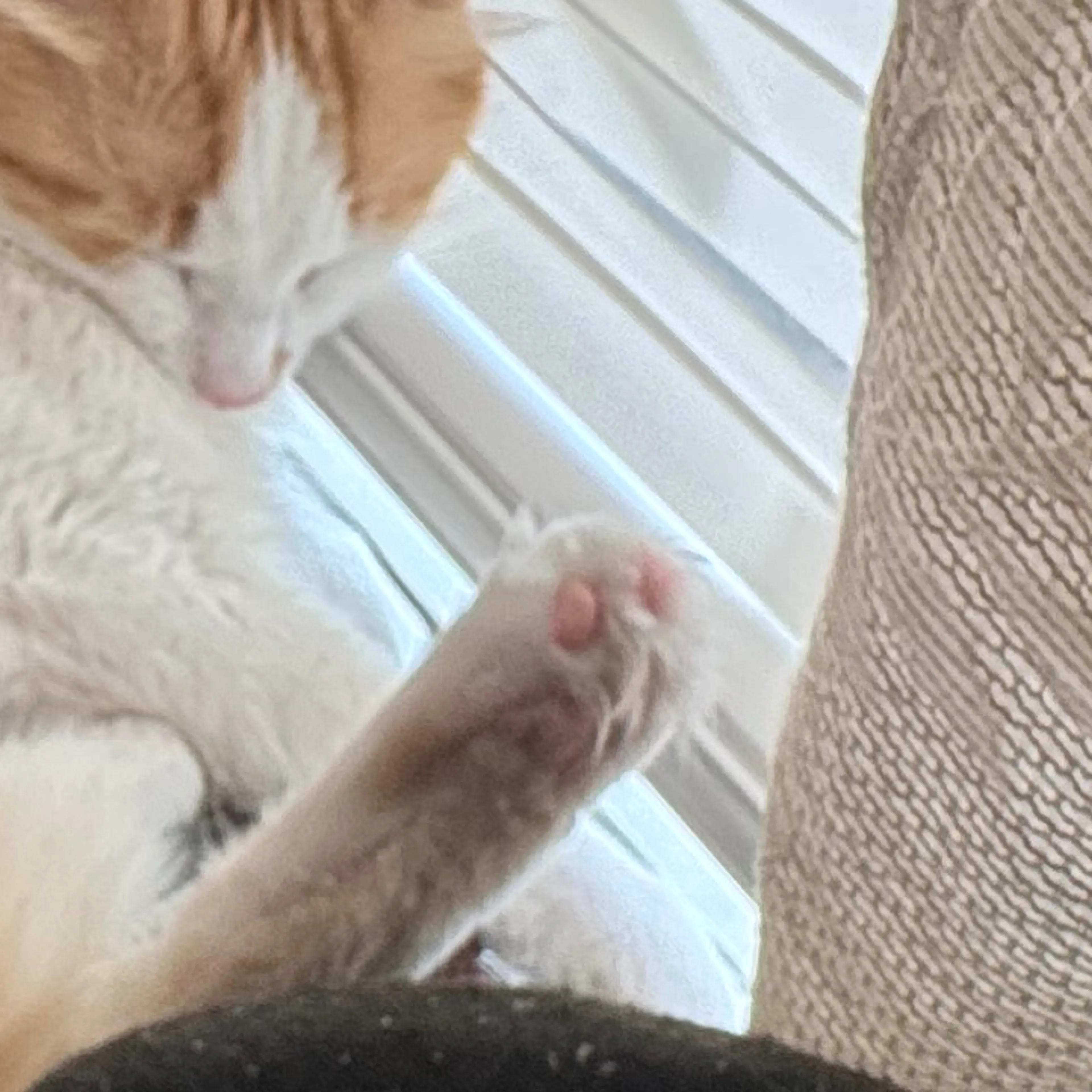 -3
