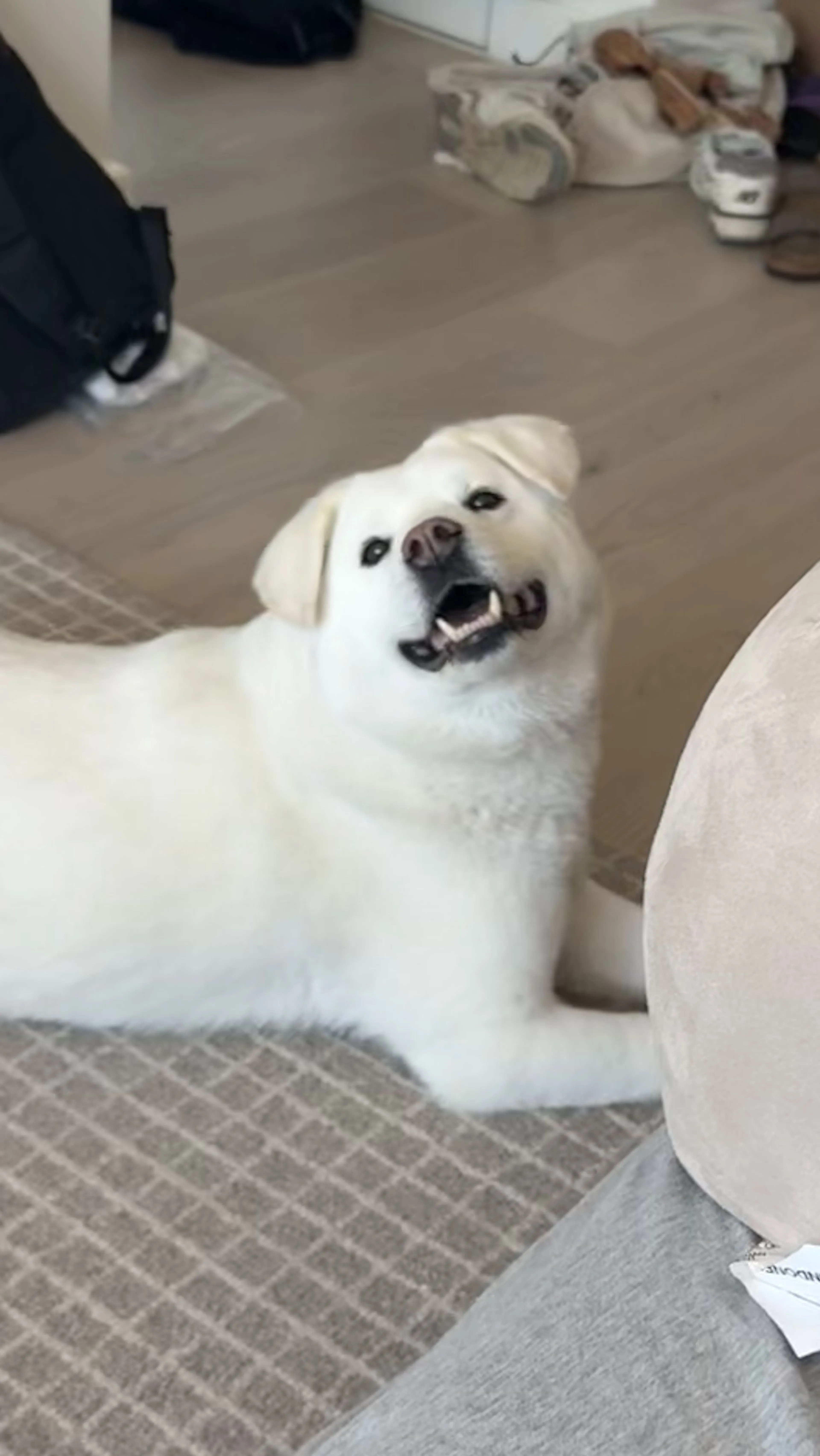 -3