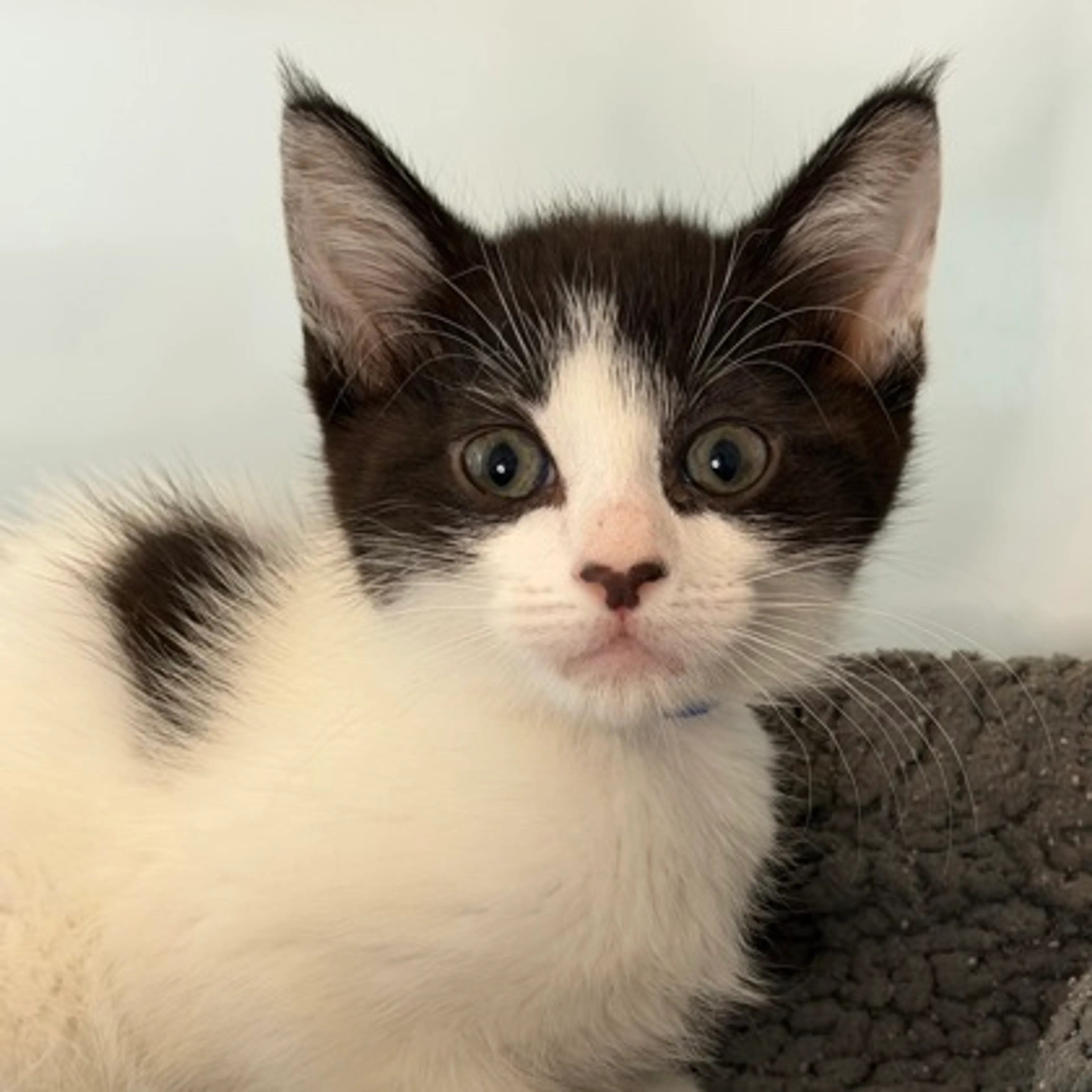-0