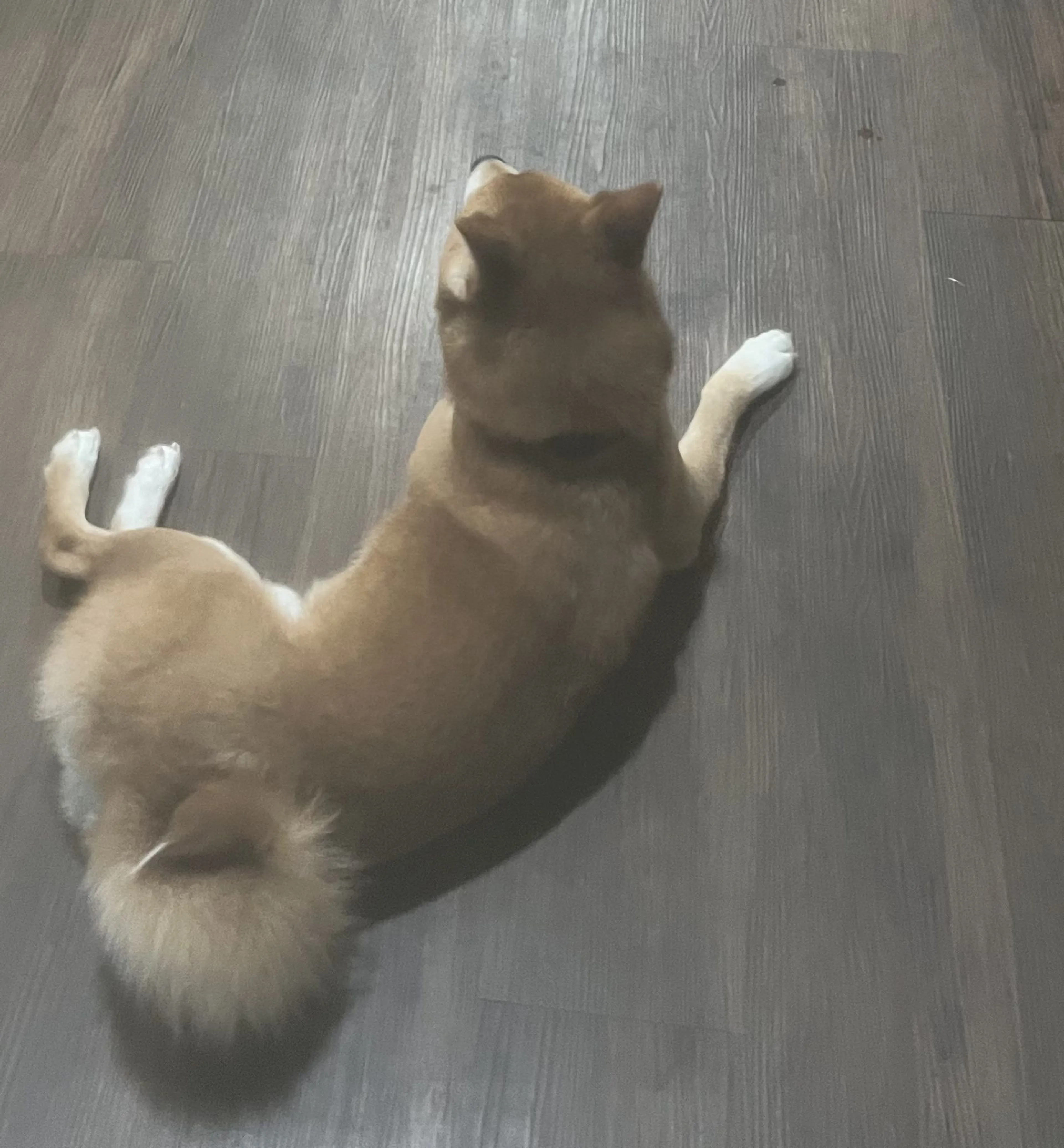 -0