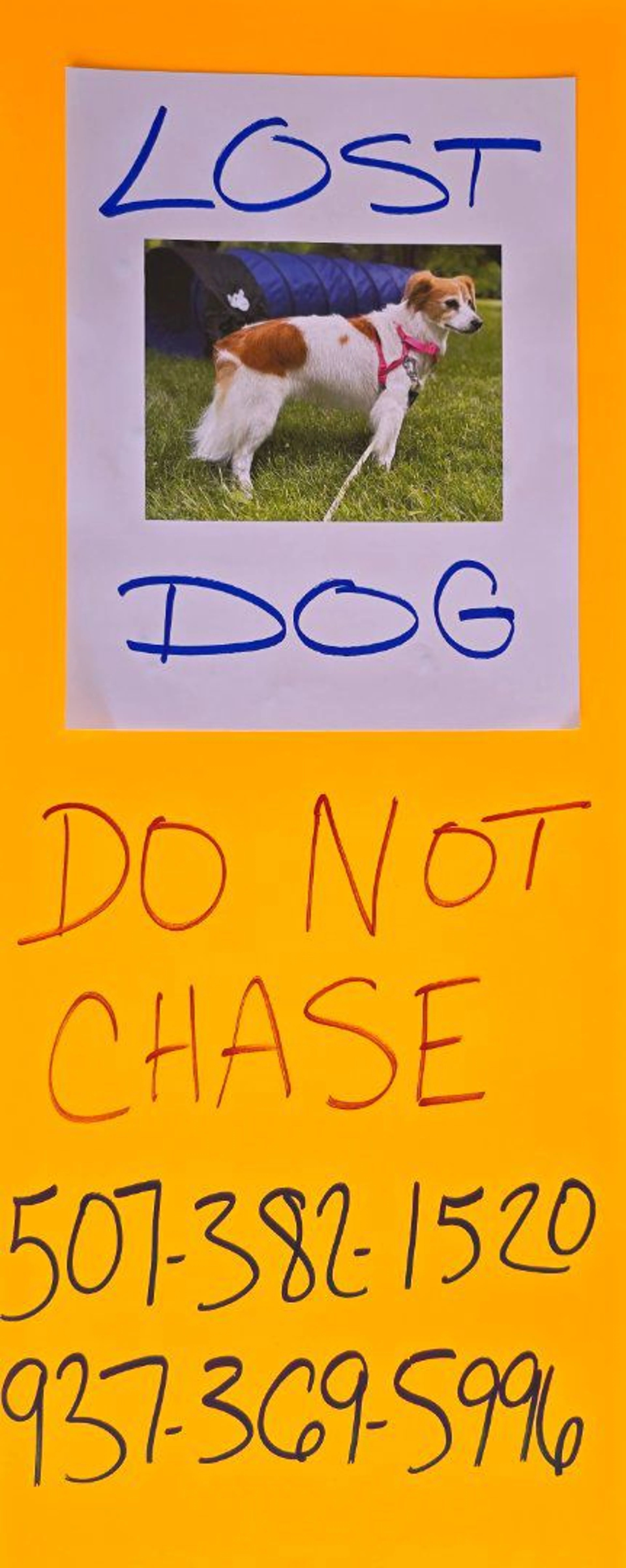 cdn image