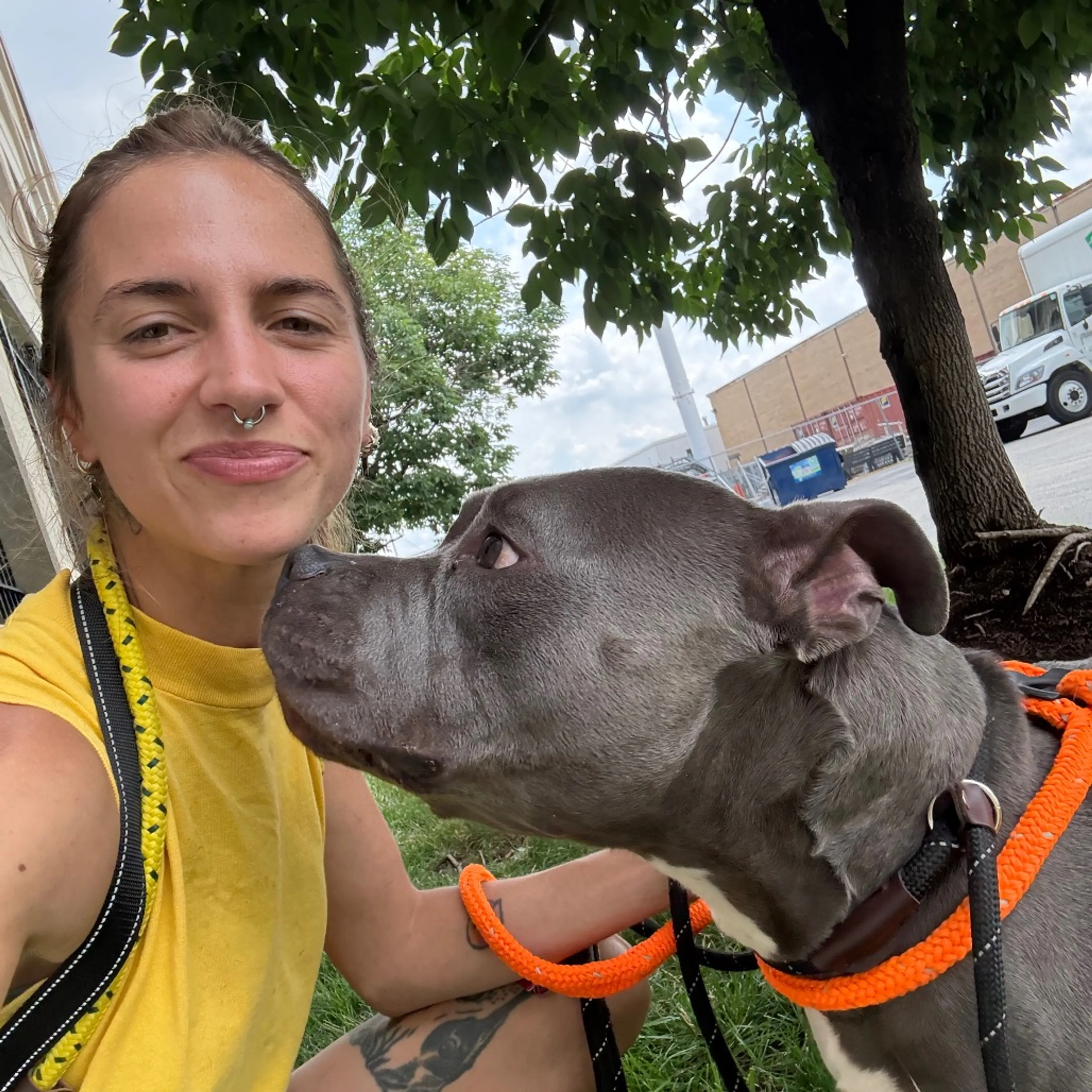 cdn image