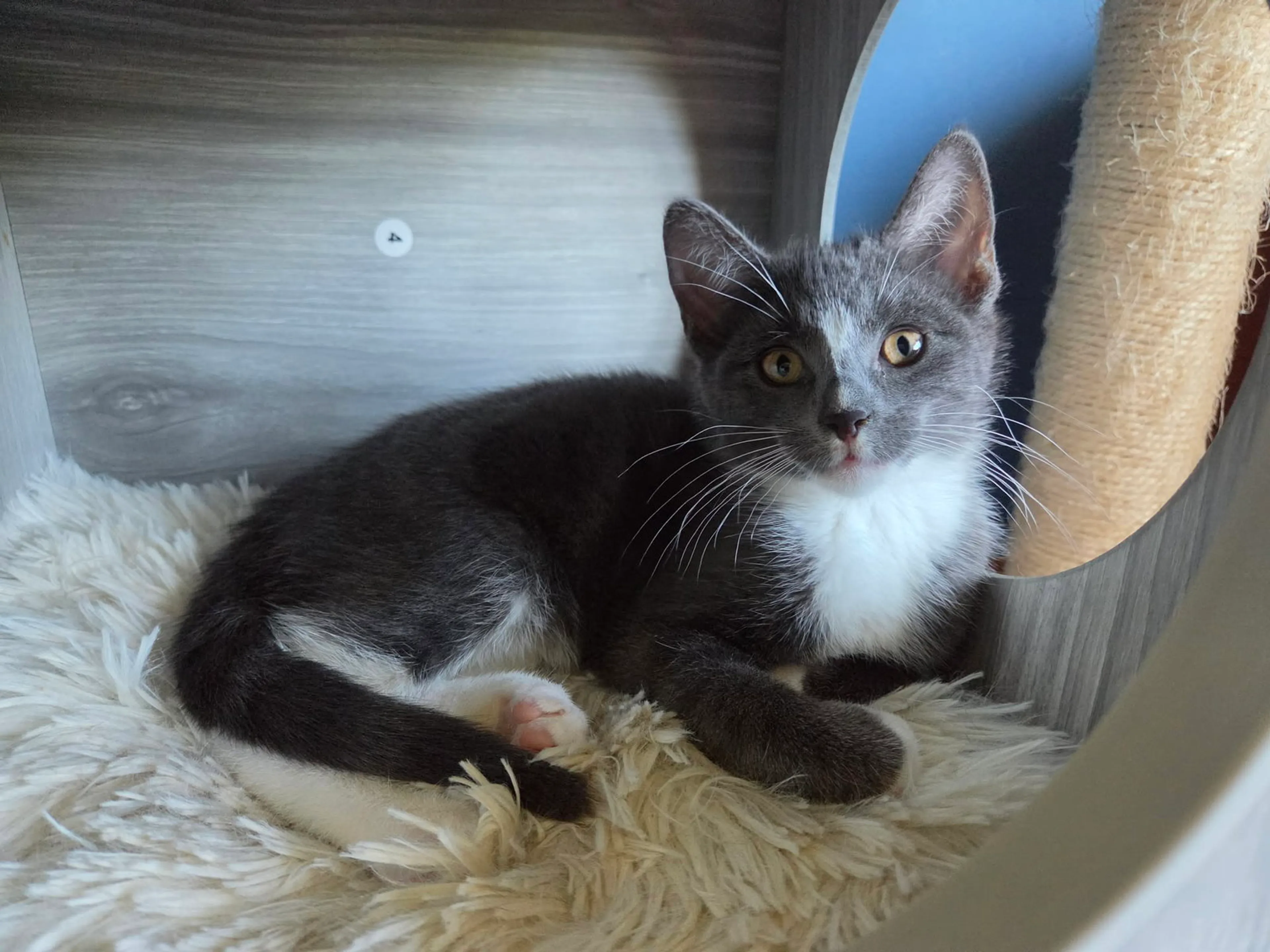 -4