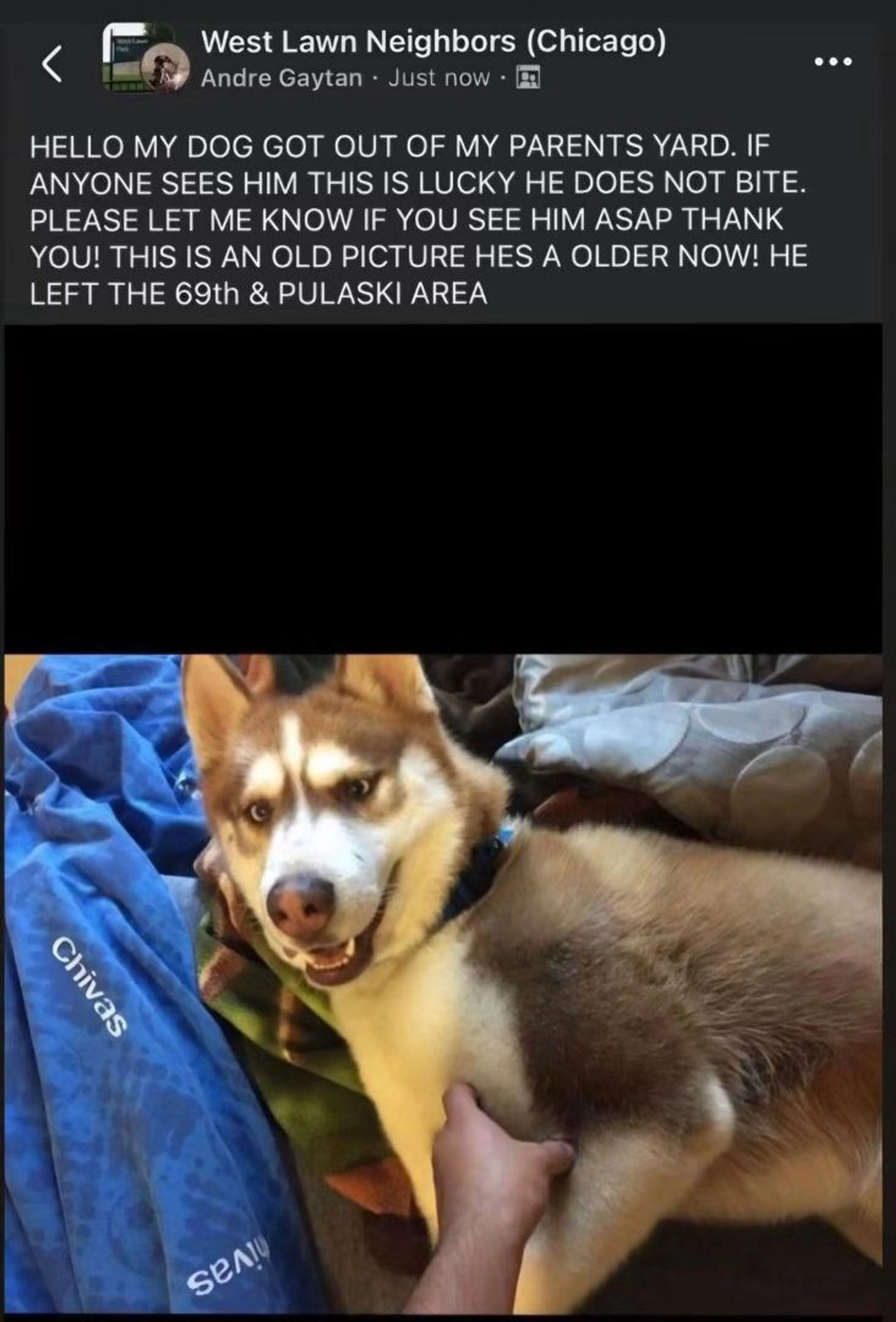 cdn image
