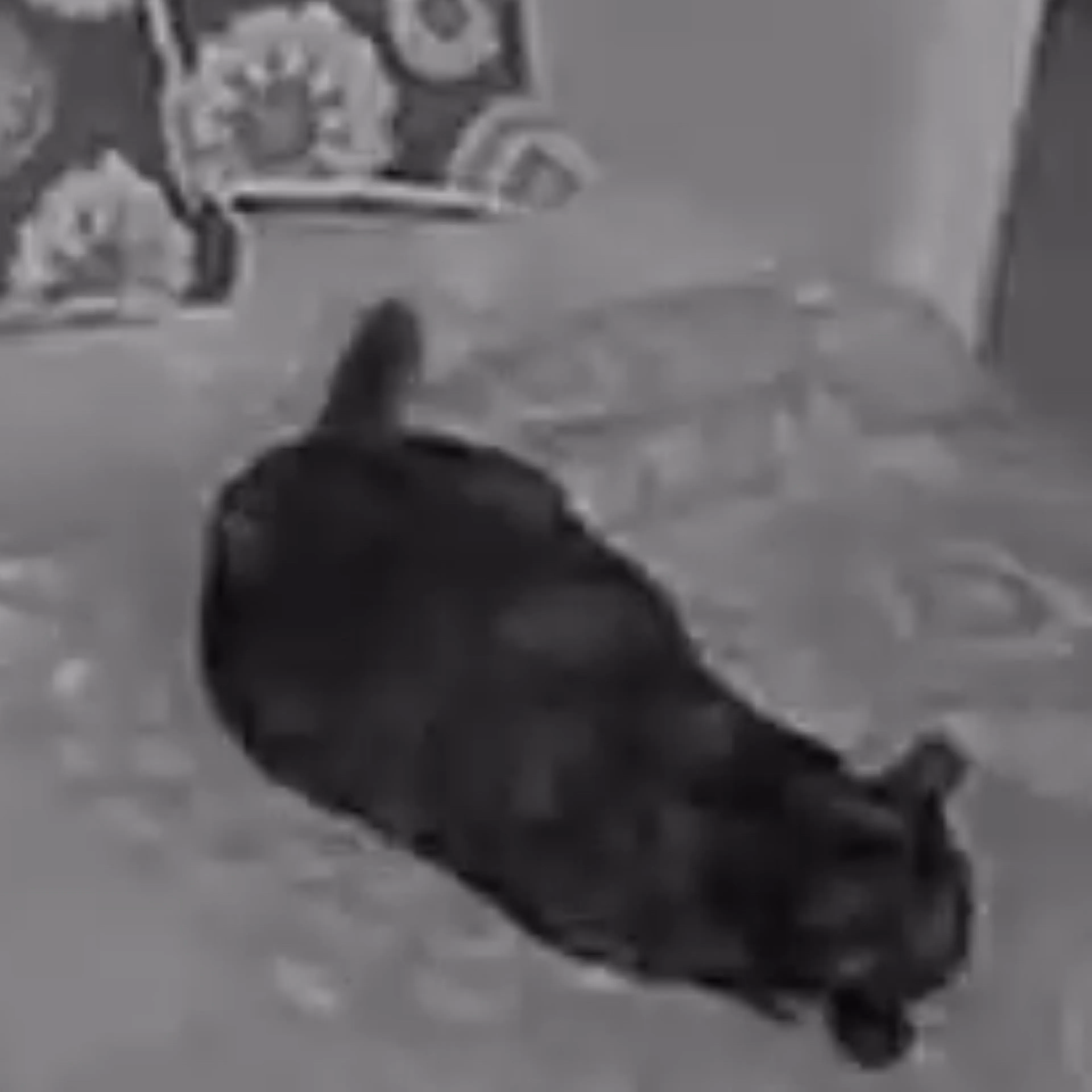 -1
