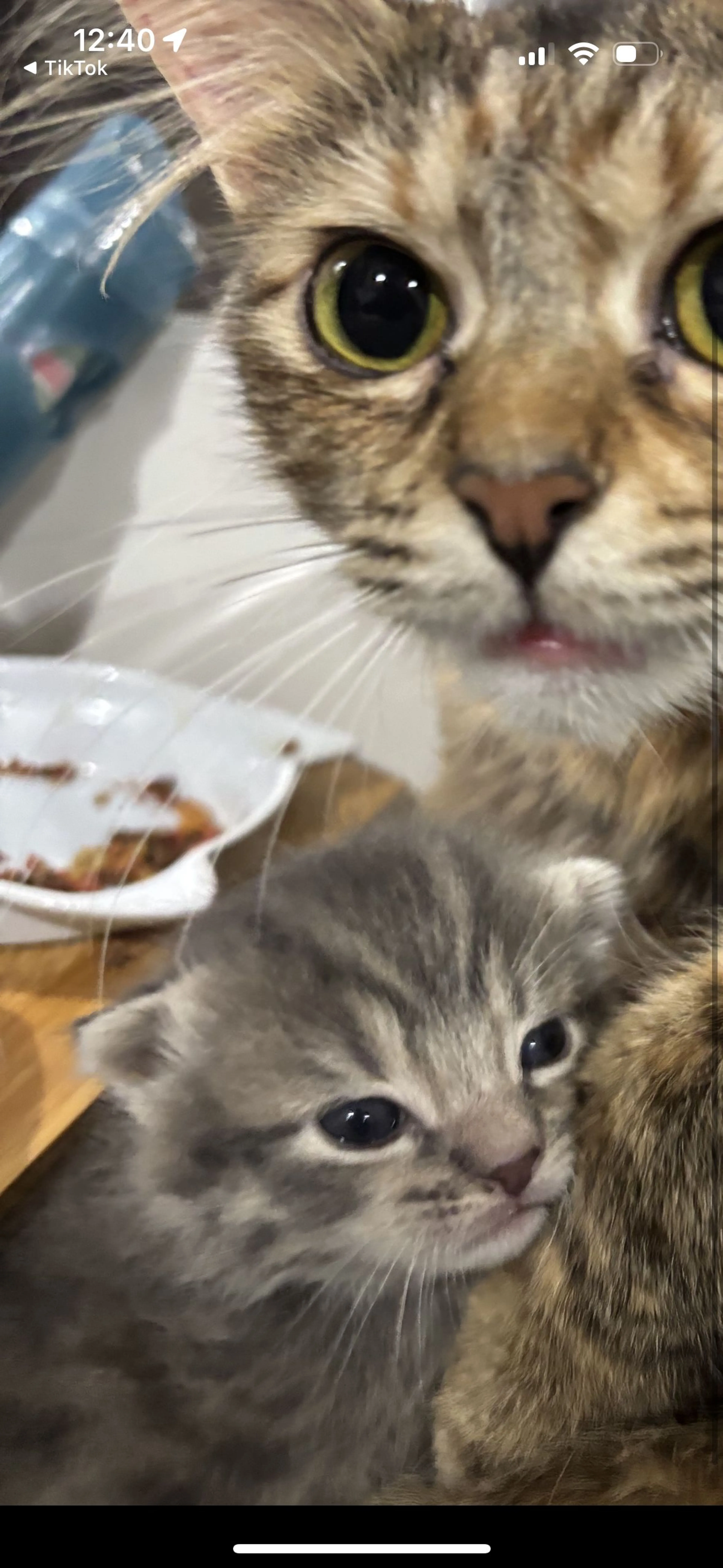 cdn image