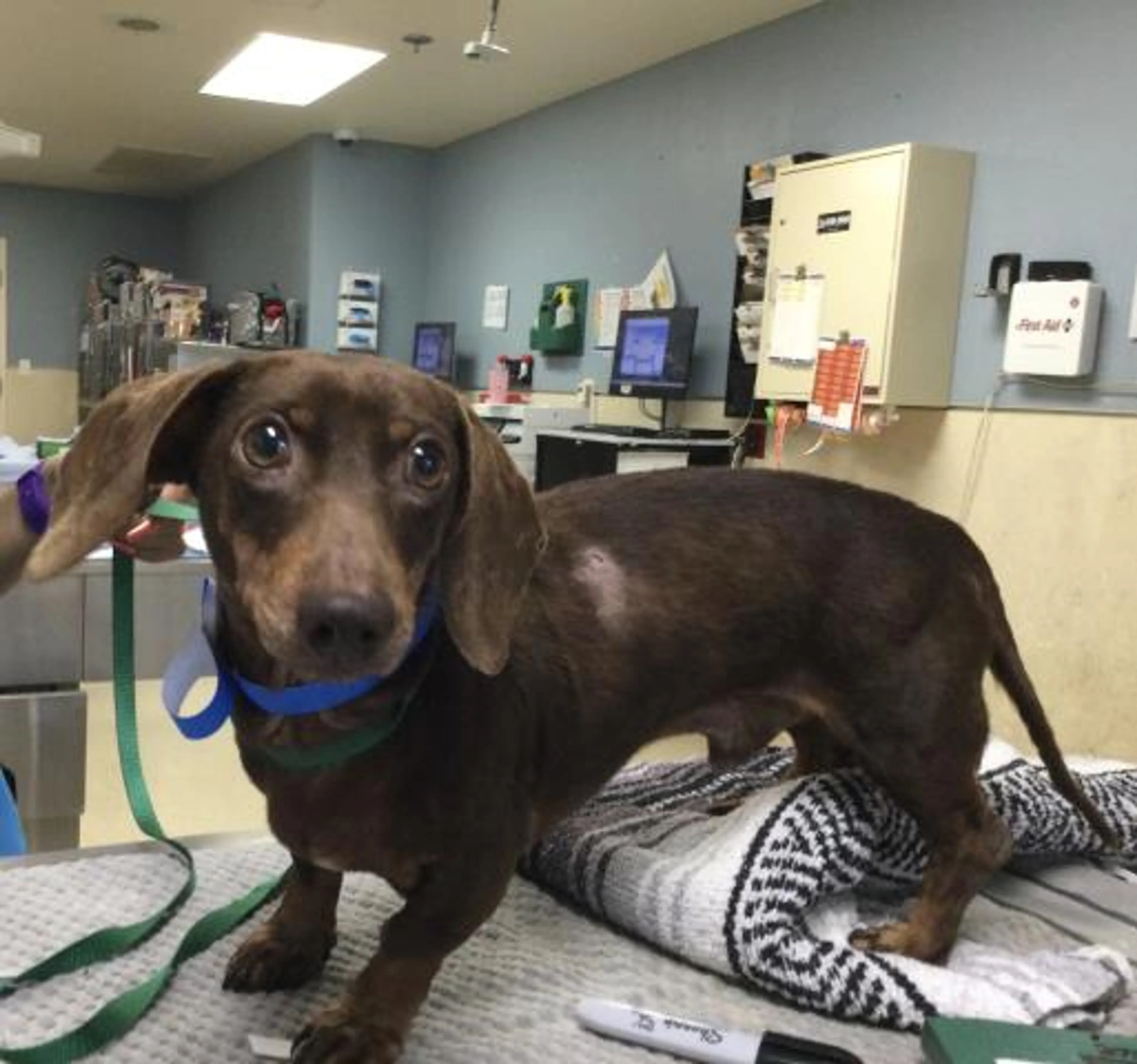 cdn image