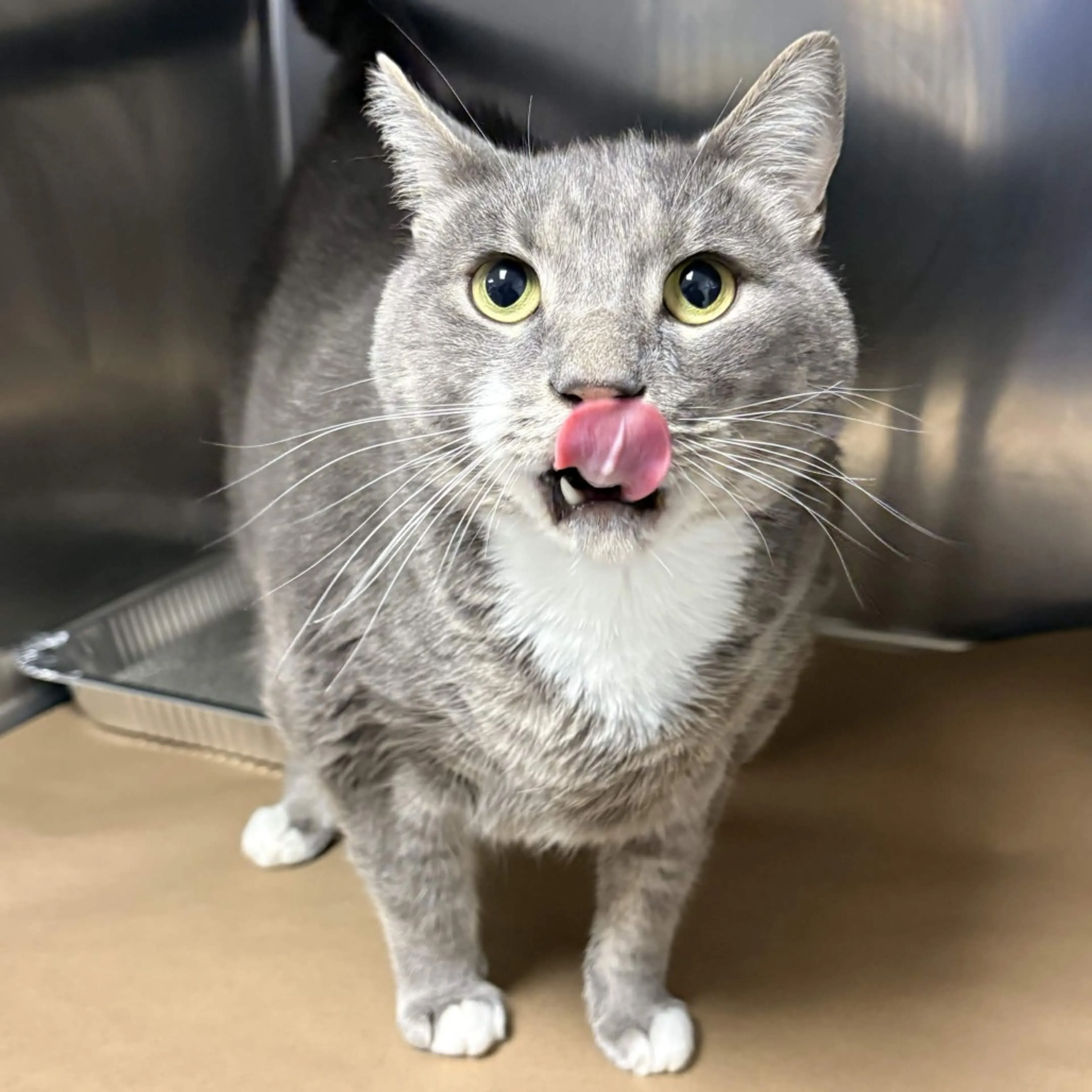 -1