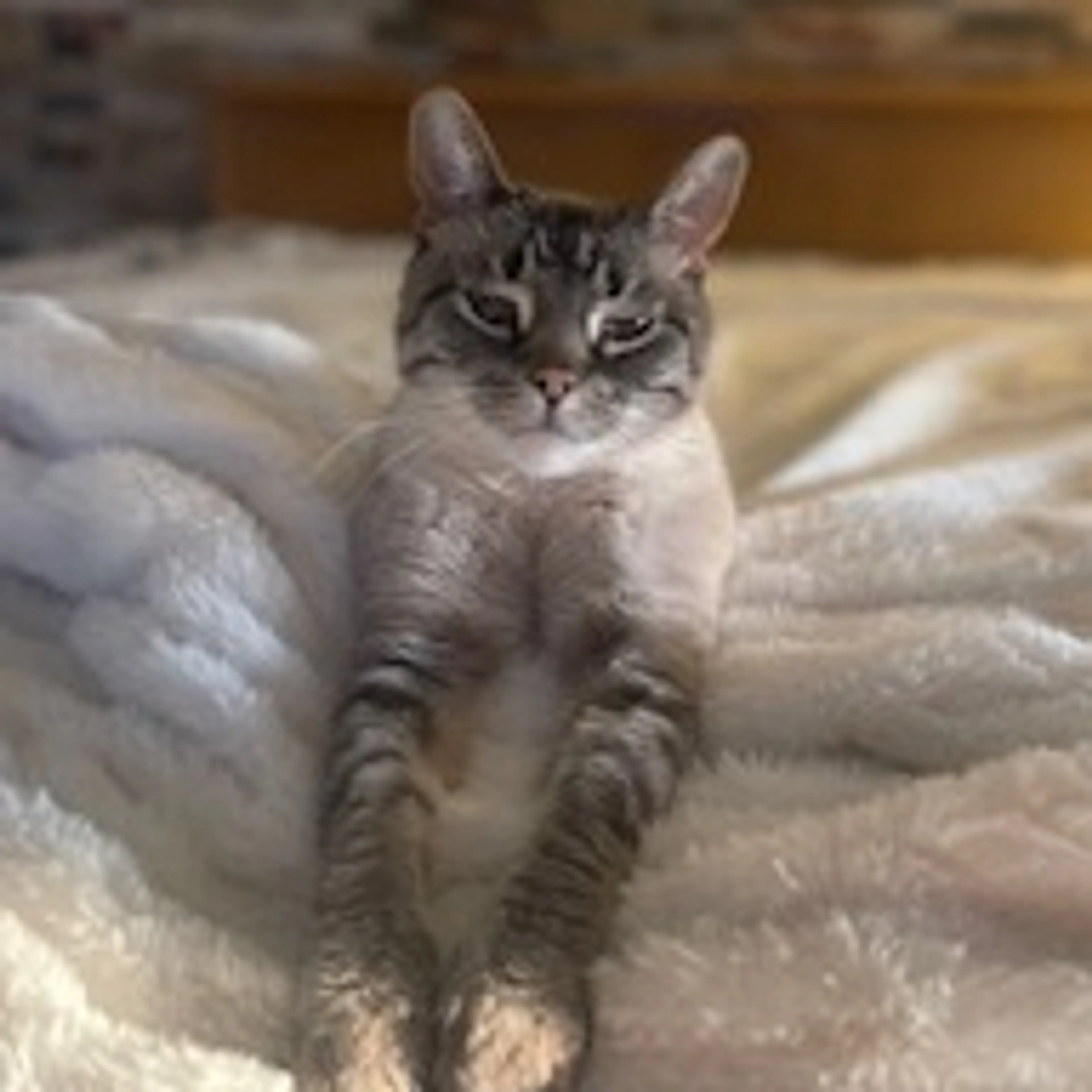 -3