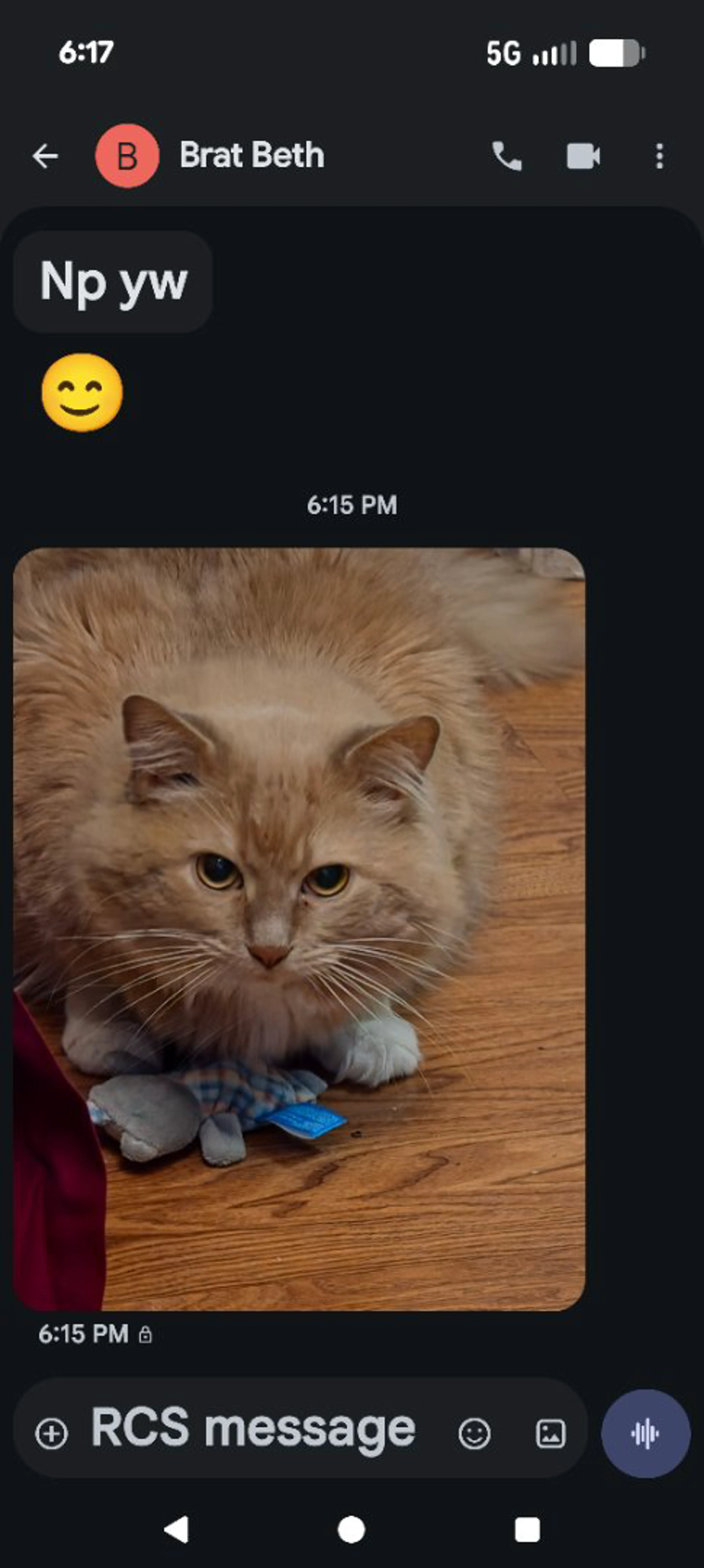 cdn image