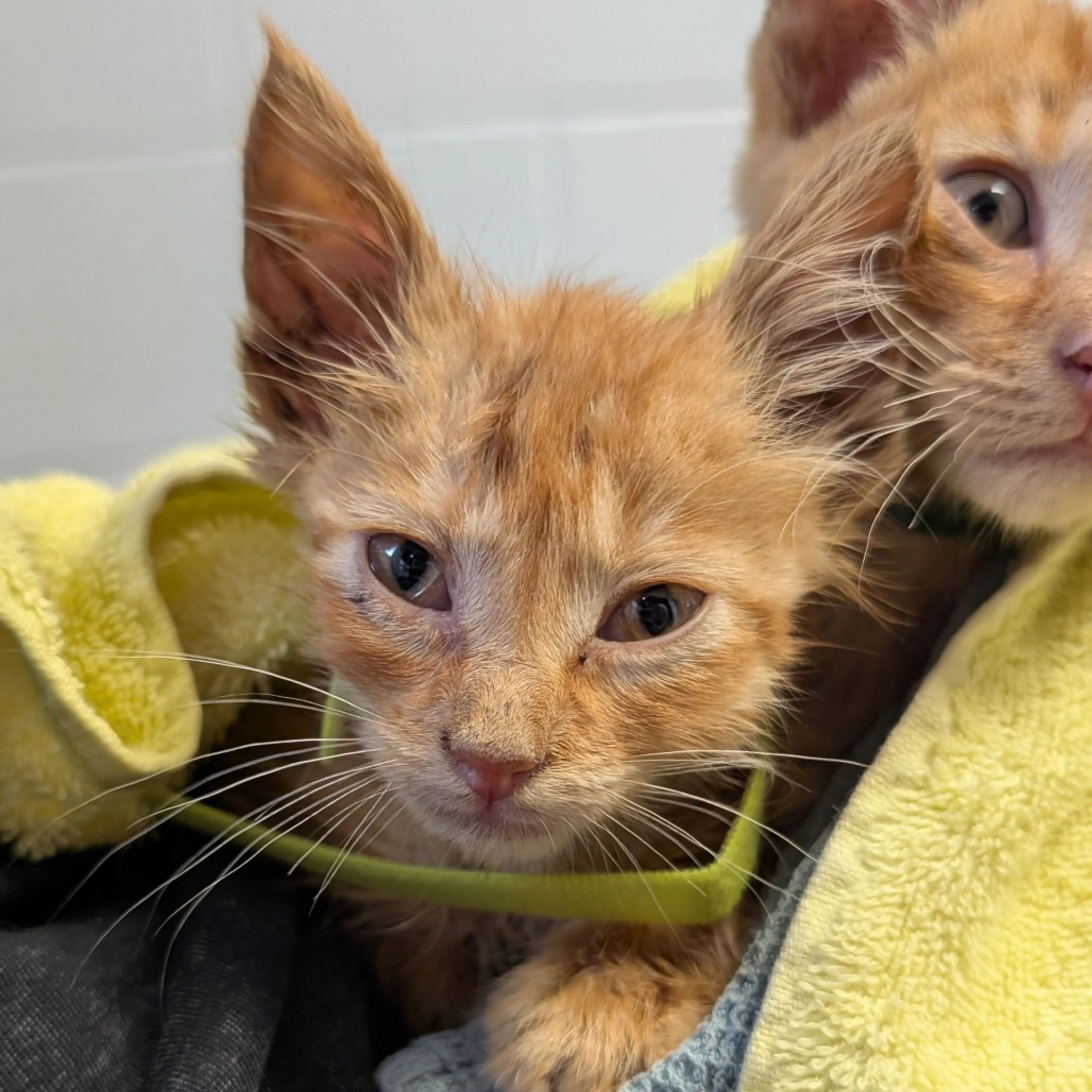 -2