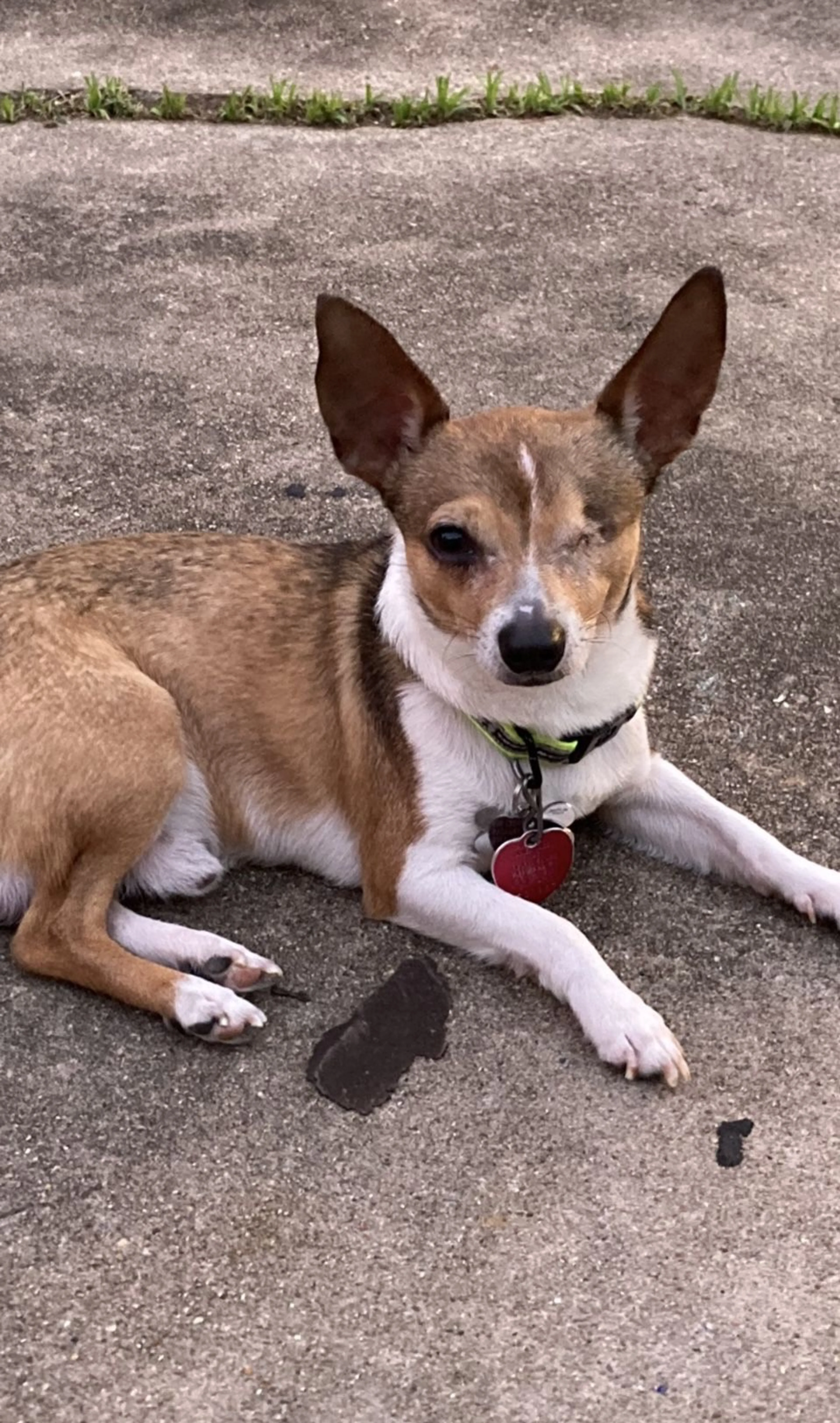 -3