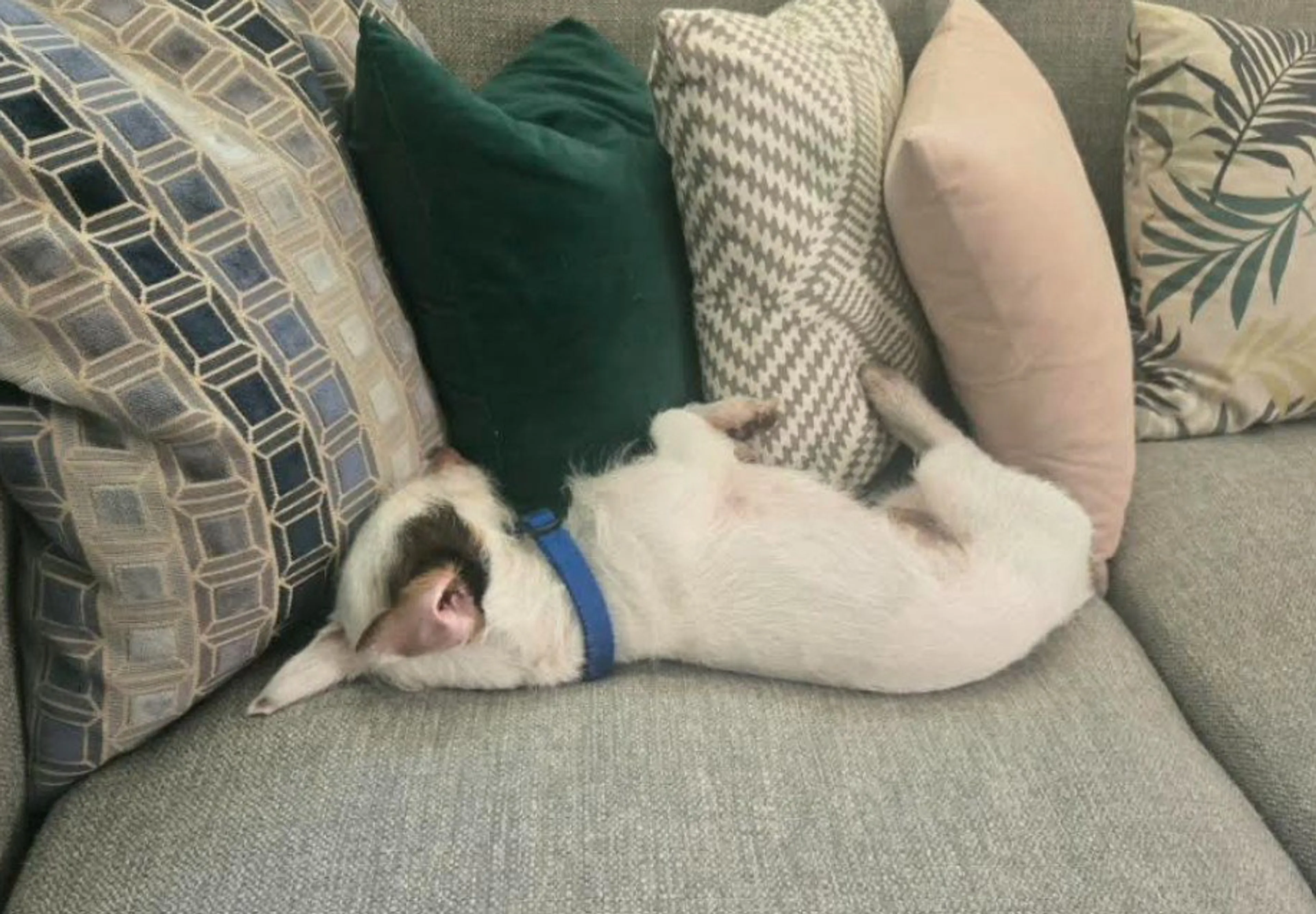 -2