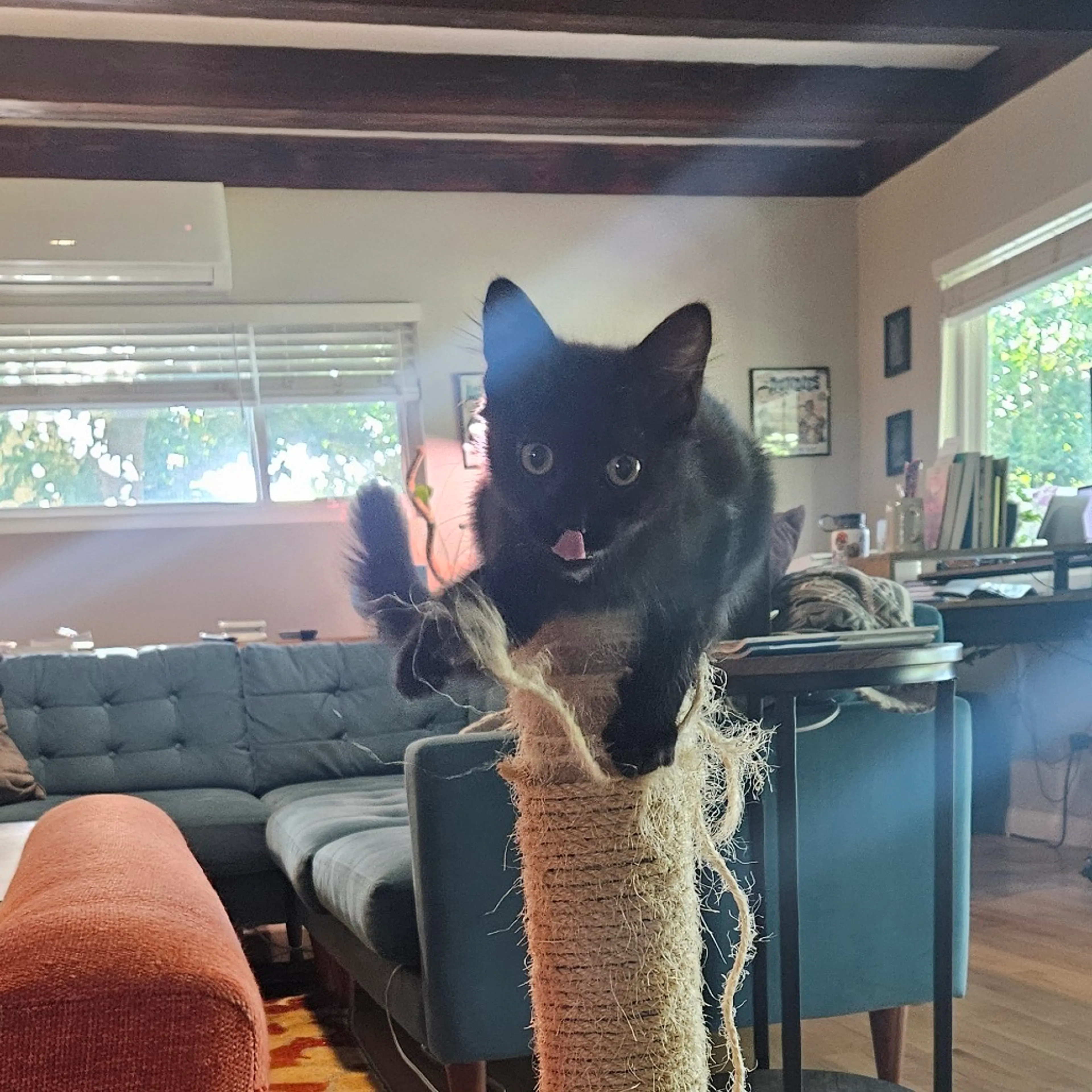 cdn image