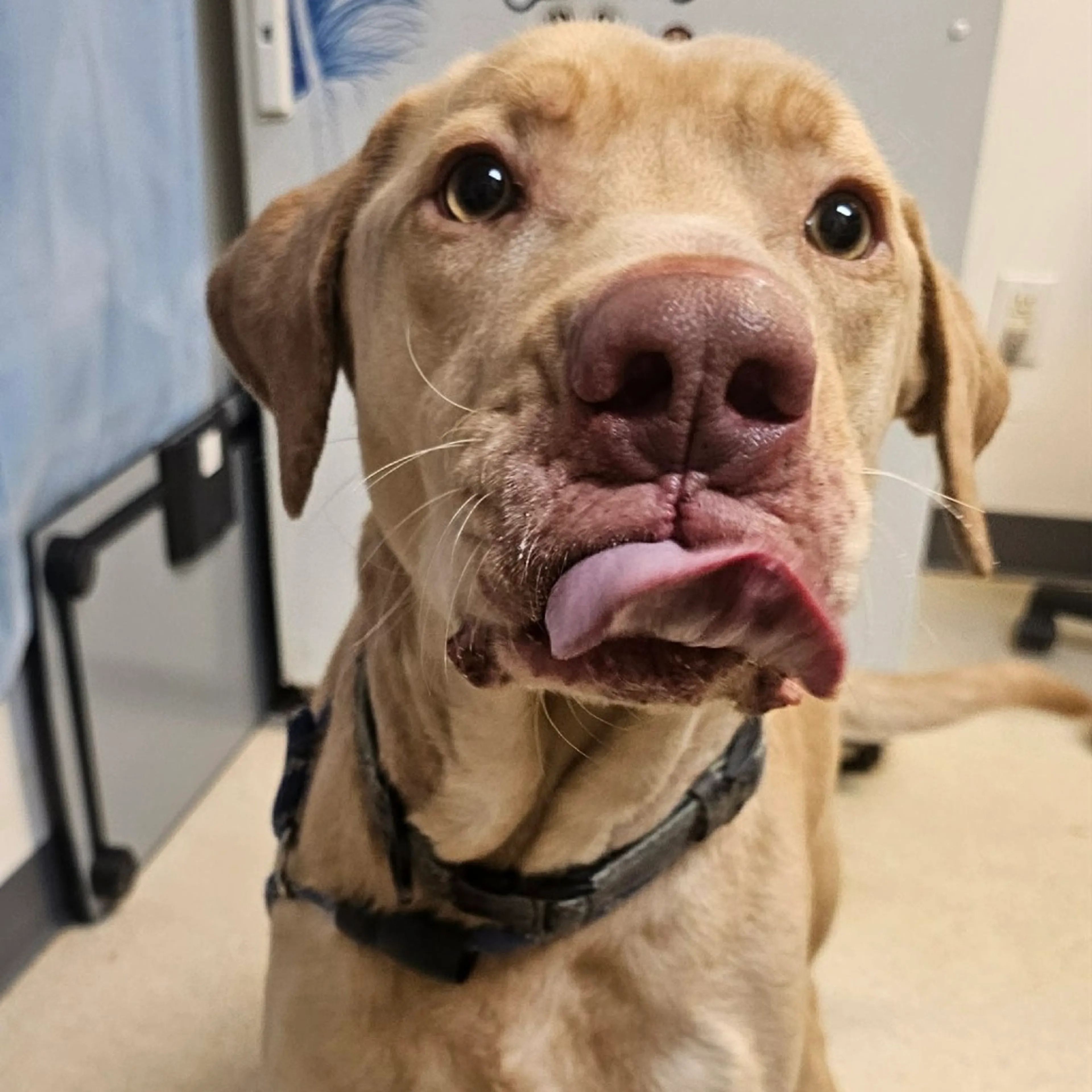 -5