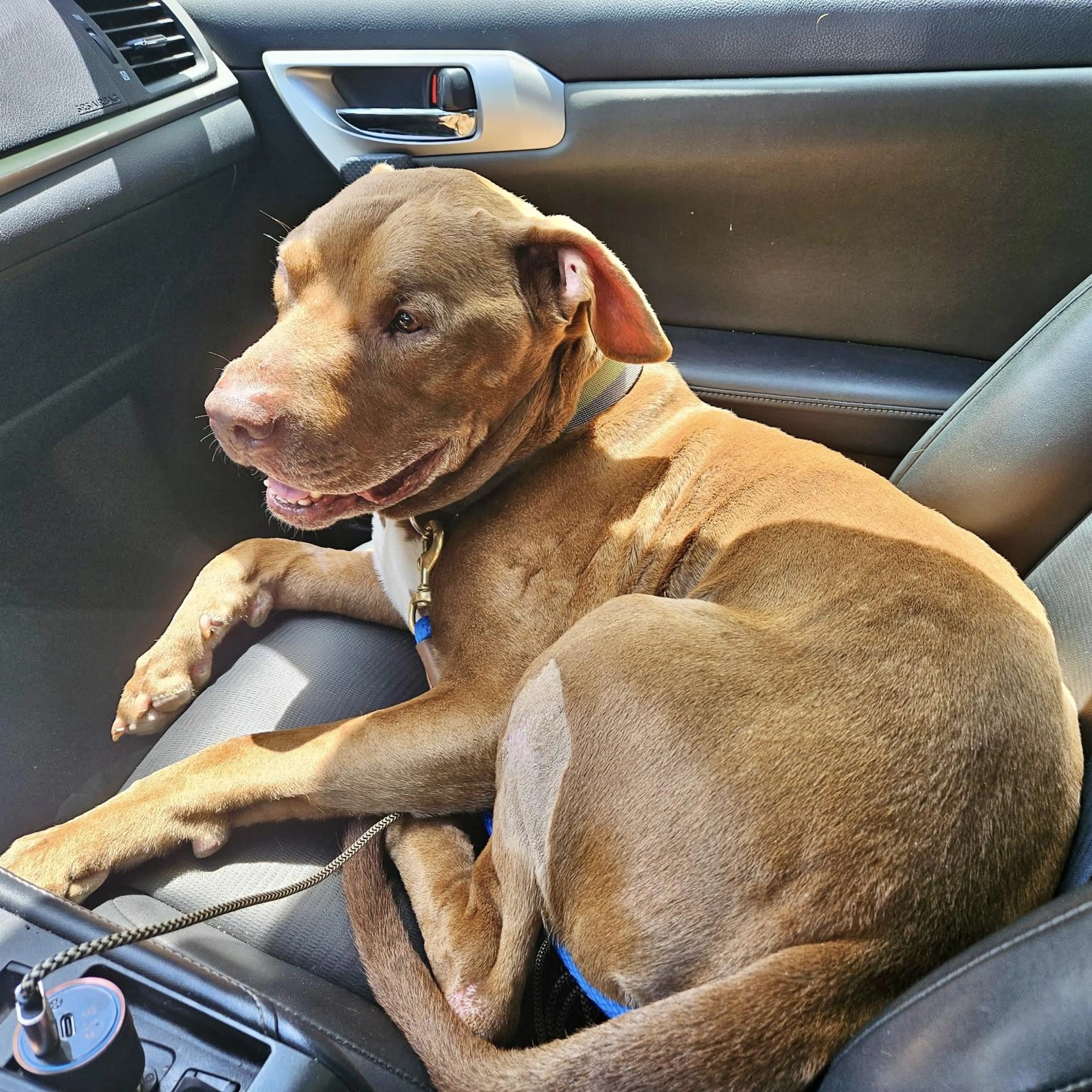-3