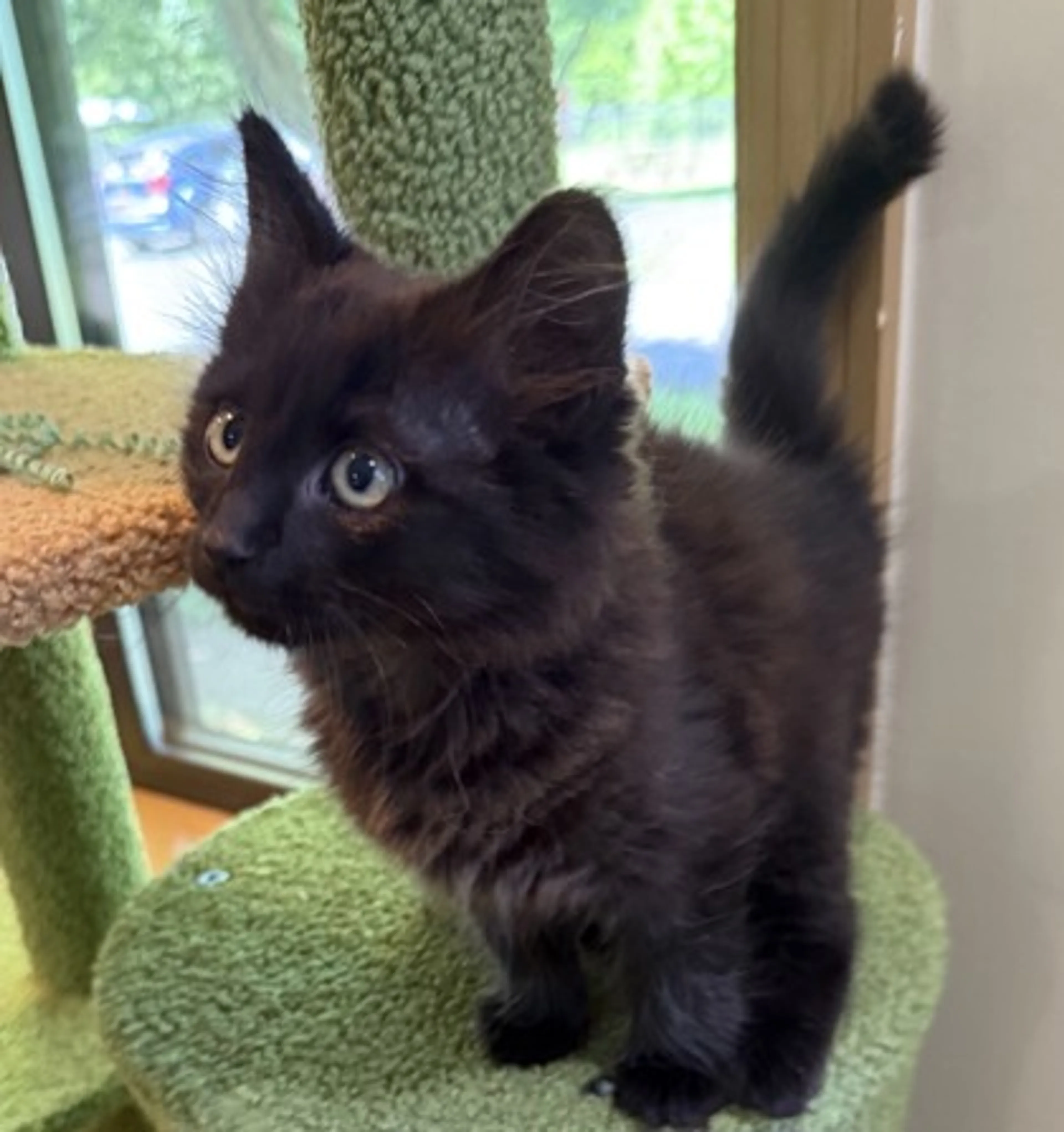 -0