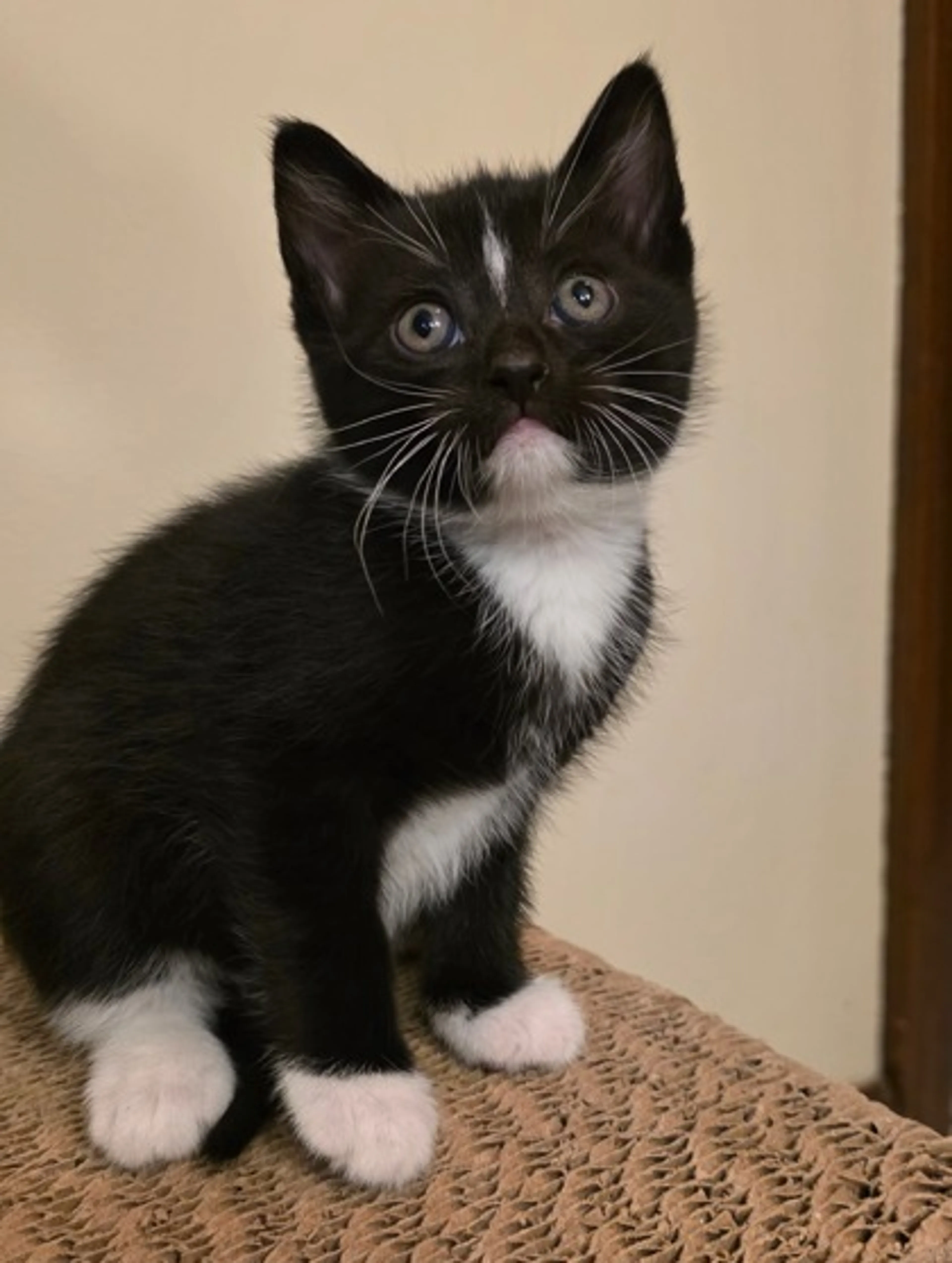 cdn image