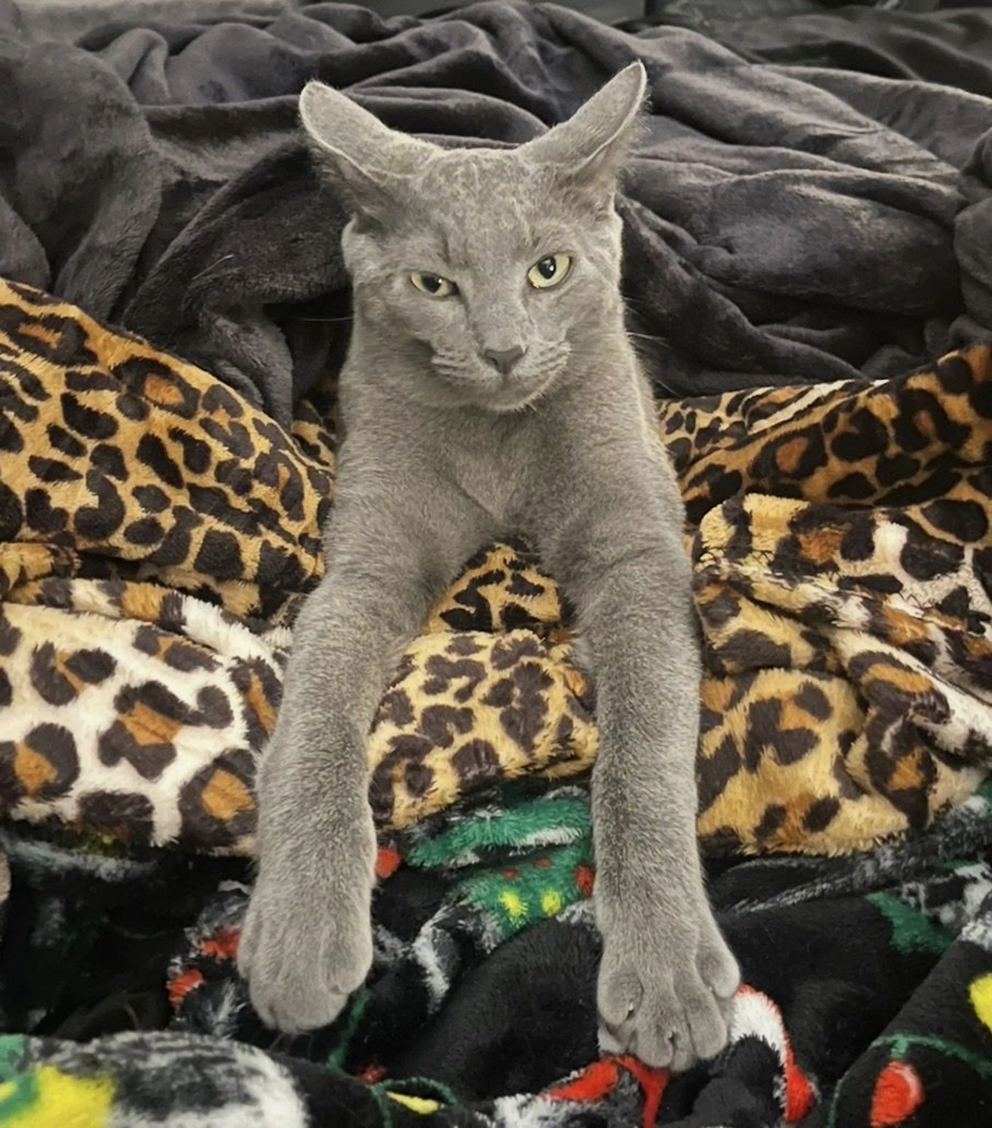 -3