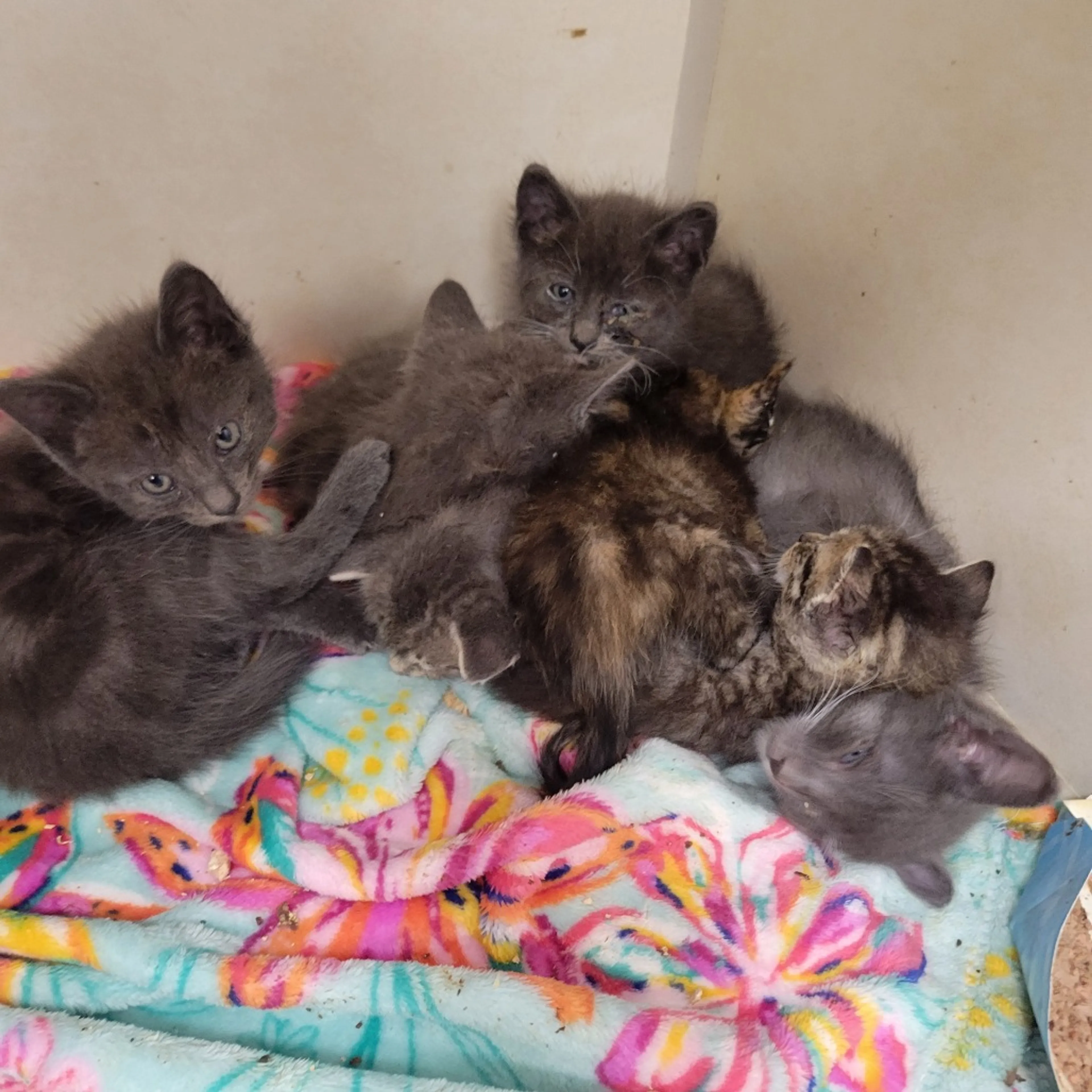 -1