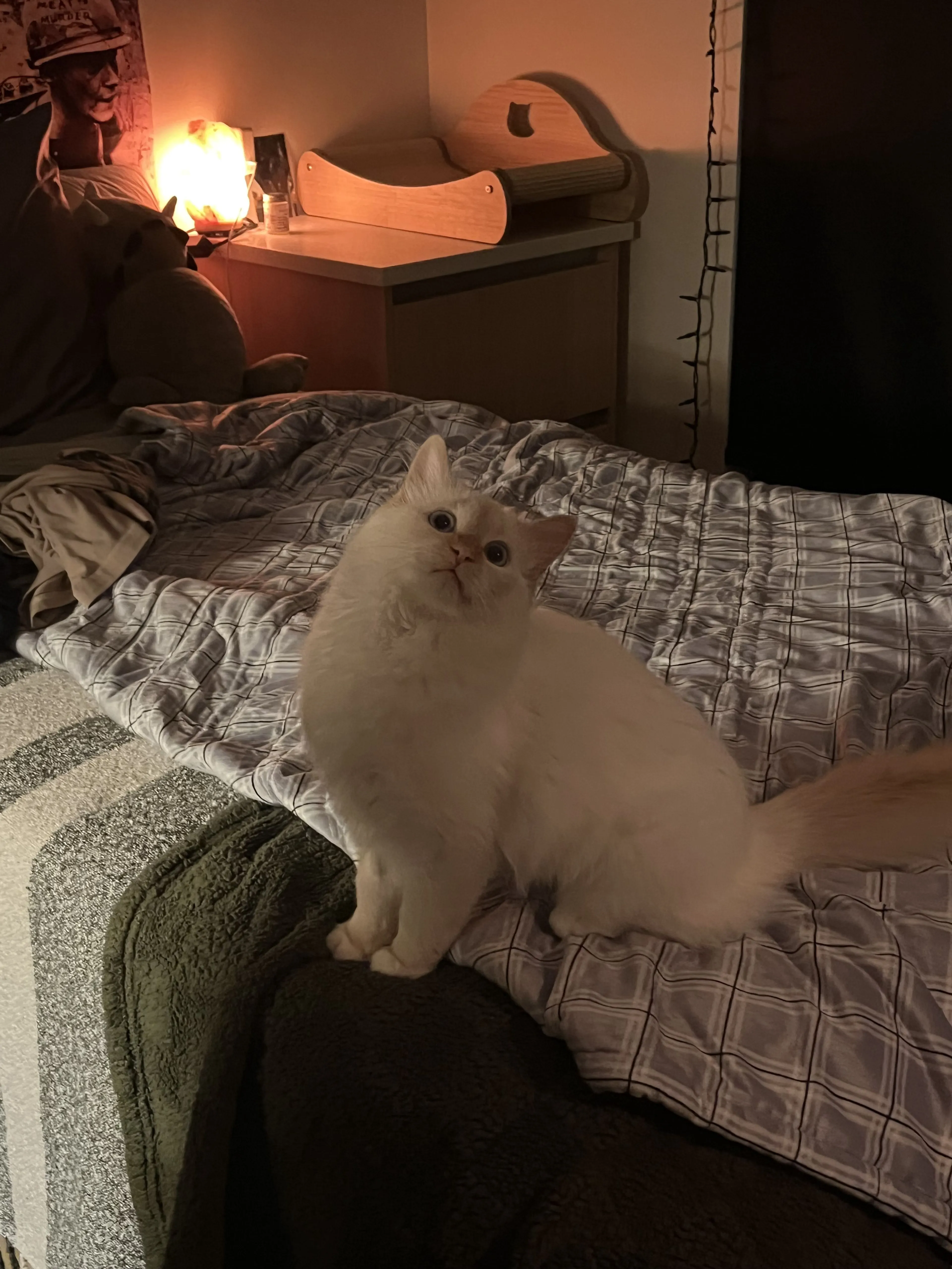 -1