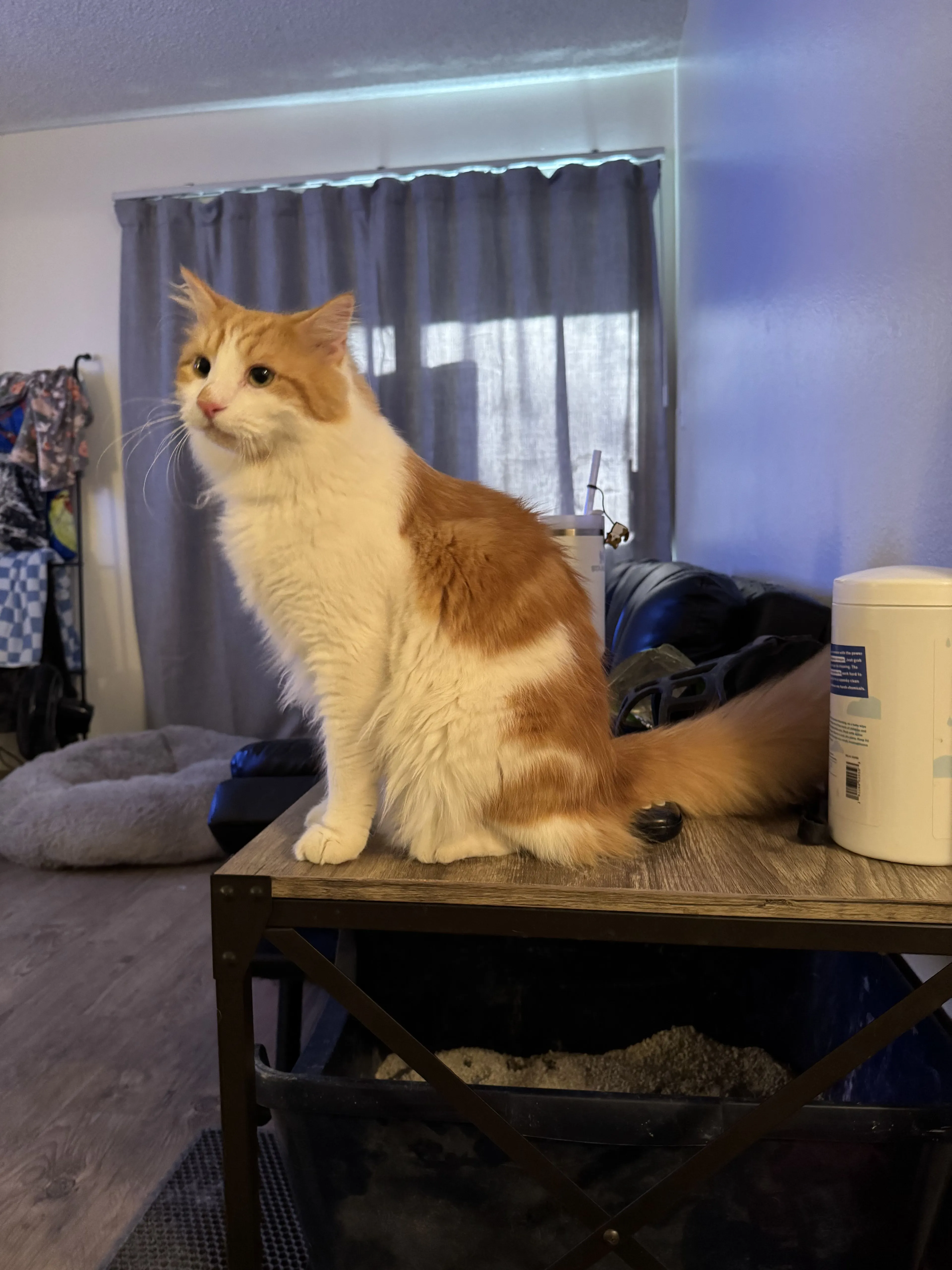 -3