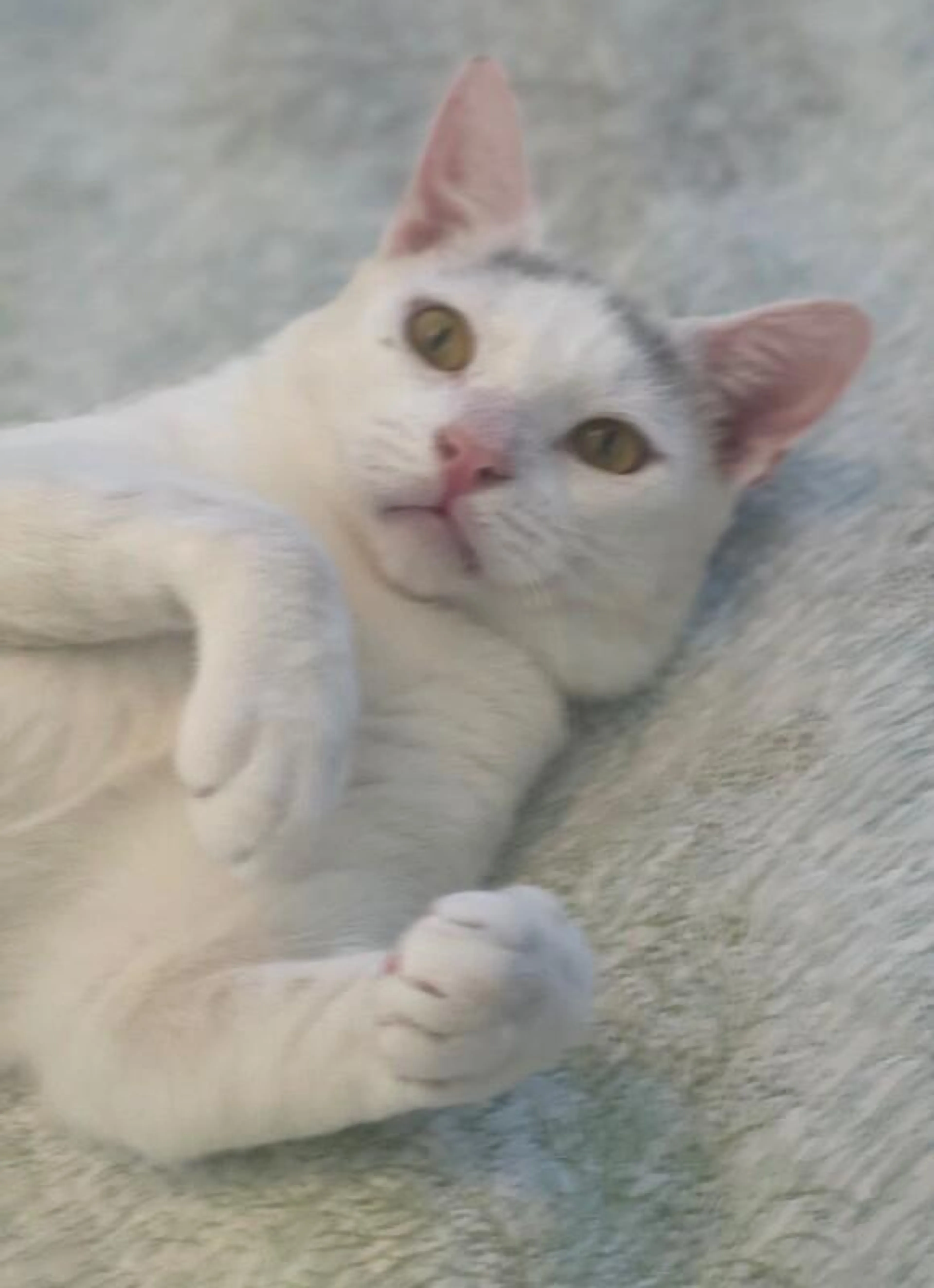 -5