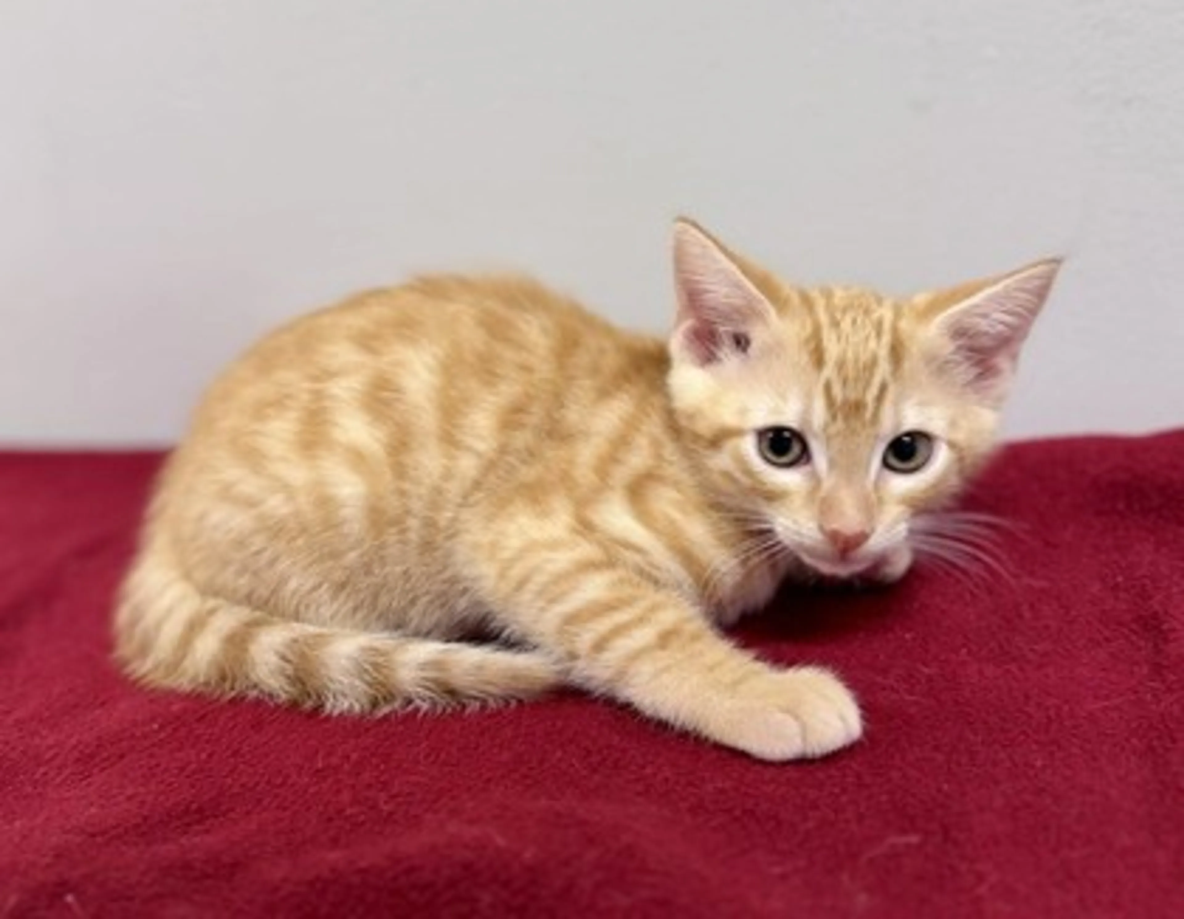 -0